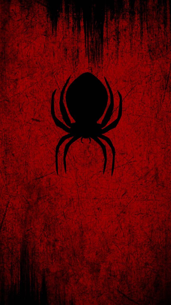 Dark Spider Wallpaper