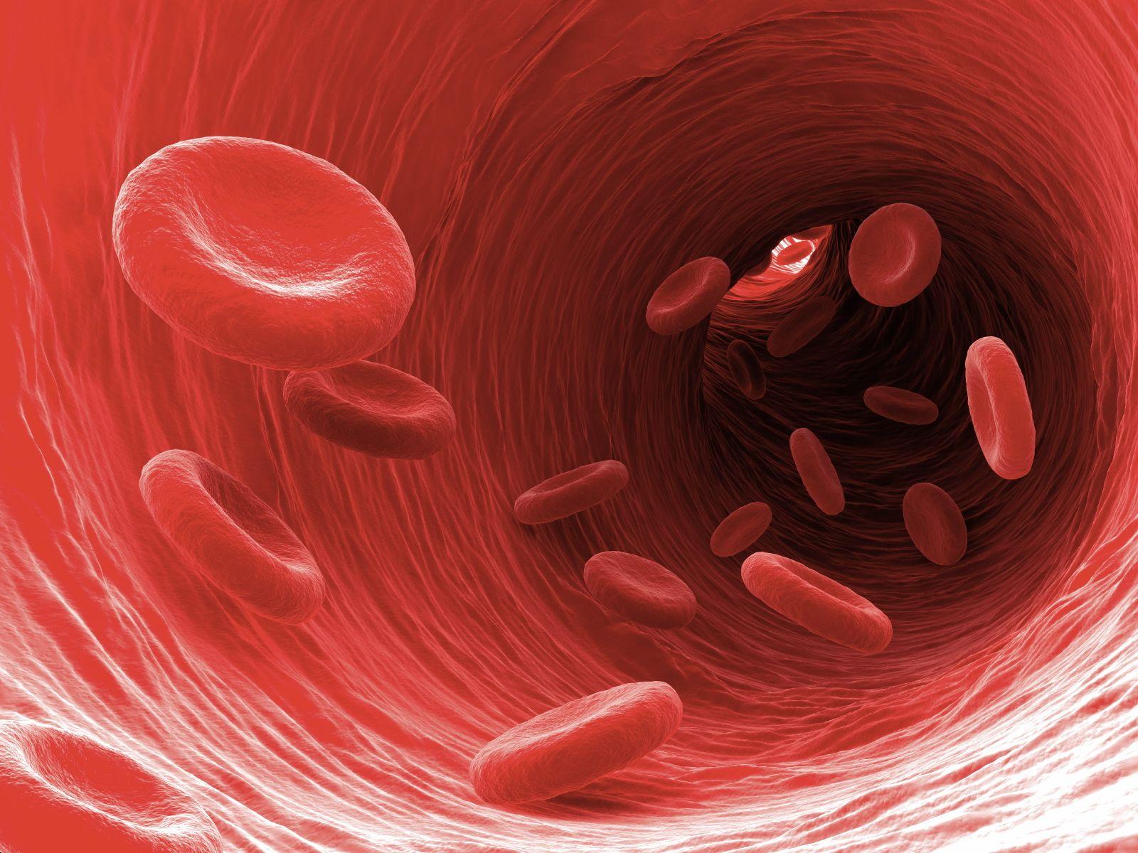 Blood Cells Wallpapers Top Free Blood Cells Backgrounds WallpaperAccess