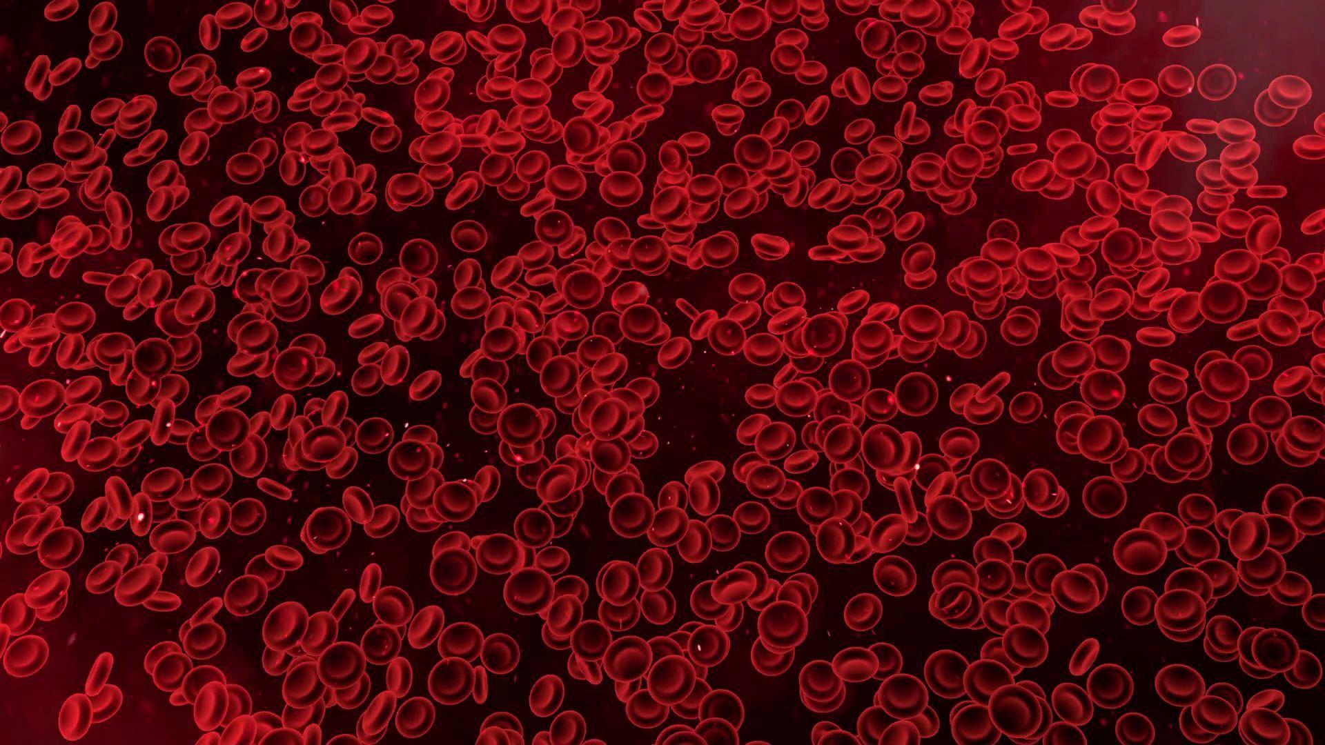 Blood Cells Wallpapers Top Free Blood Cells Backgrounds WallpaperAccess