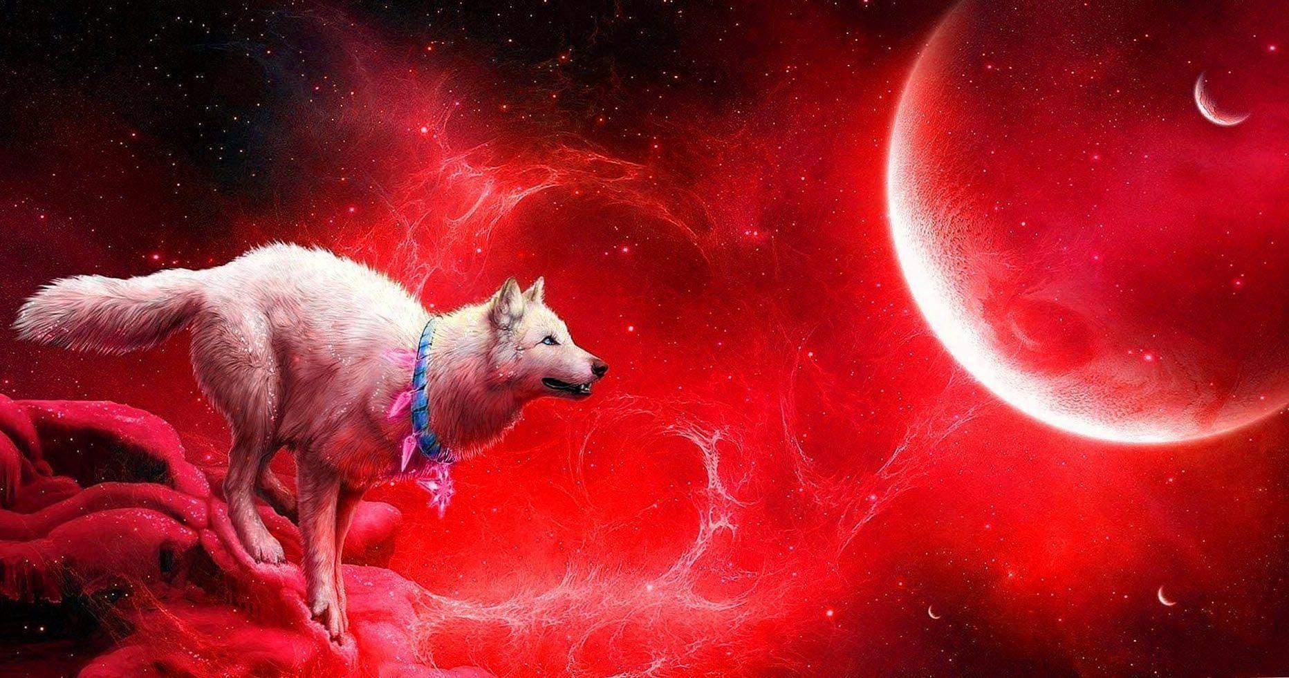 Blood Moon Wolf Wallpapers Top Free Blood Moon Wolf Backgrounds