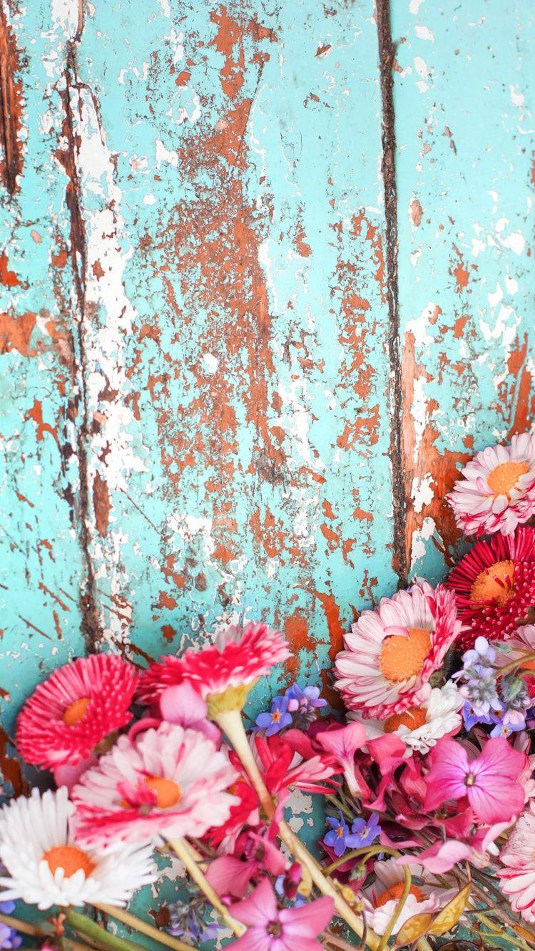 Red Flower iPhone Wallpapers Top Free Red Flower iPhone Backgrounds