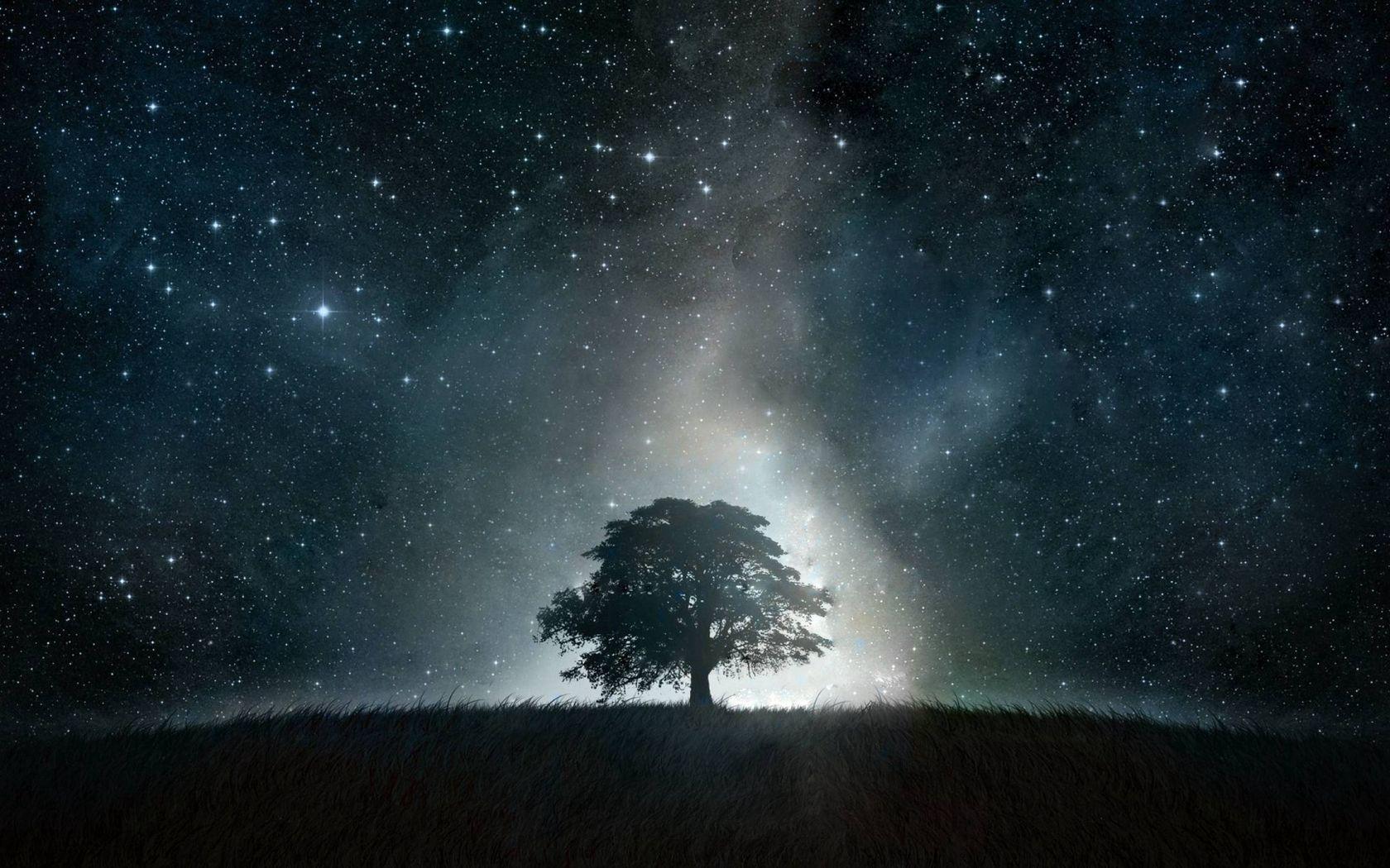 Black Landscape Wallpapers Top Free Black Landscape Backgrounds