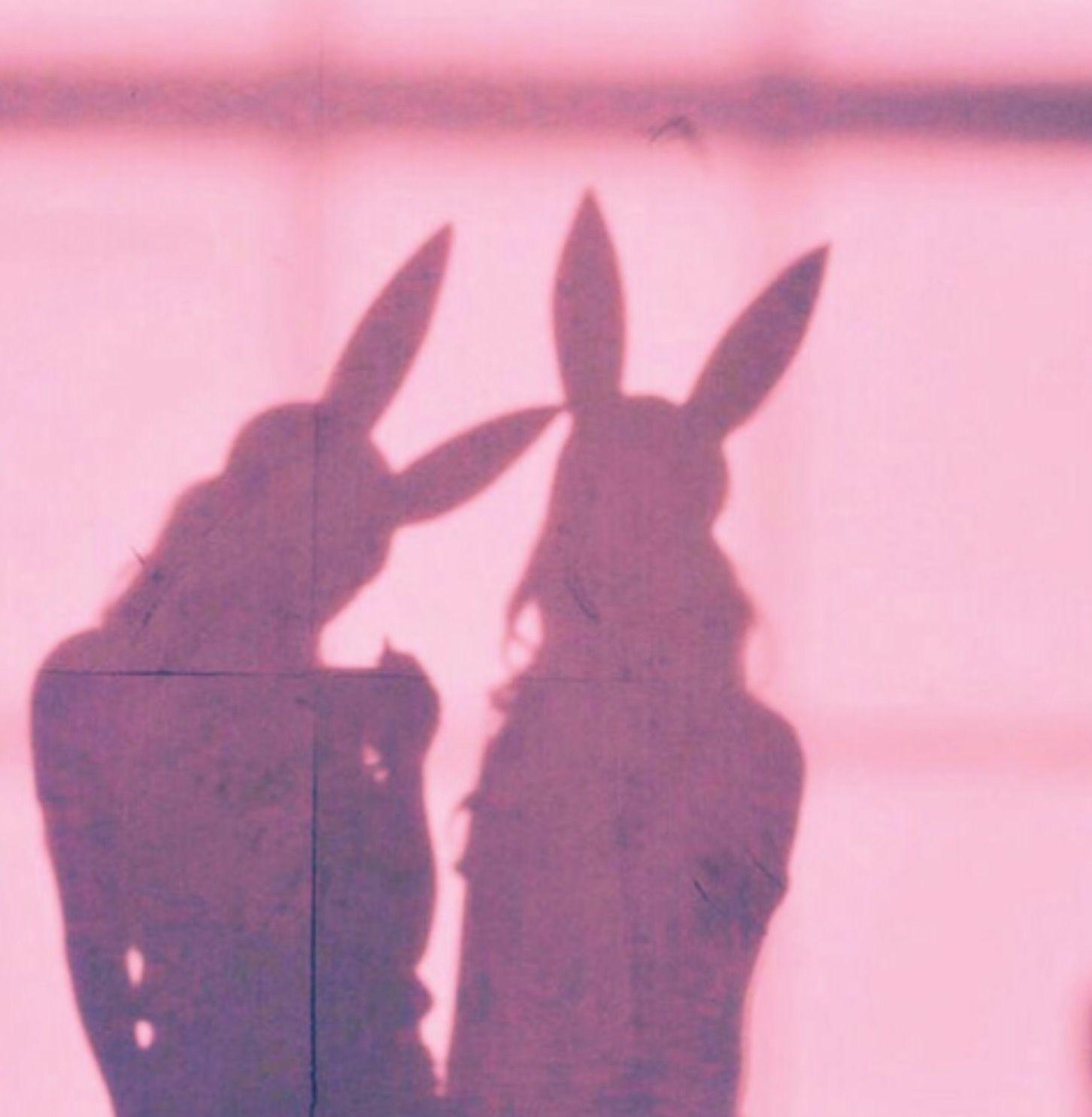 Aesthetic Bunny Wallpapers Top Free Aesthetic Bunny Backgrounds