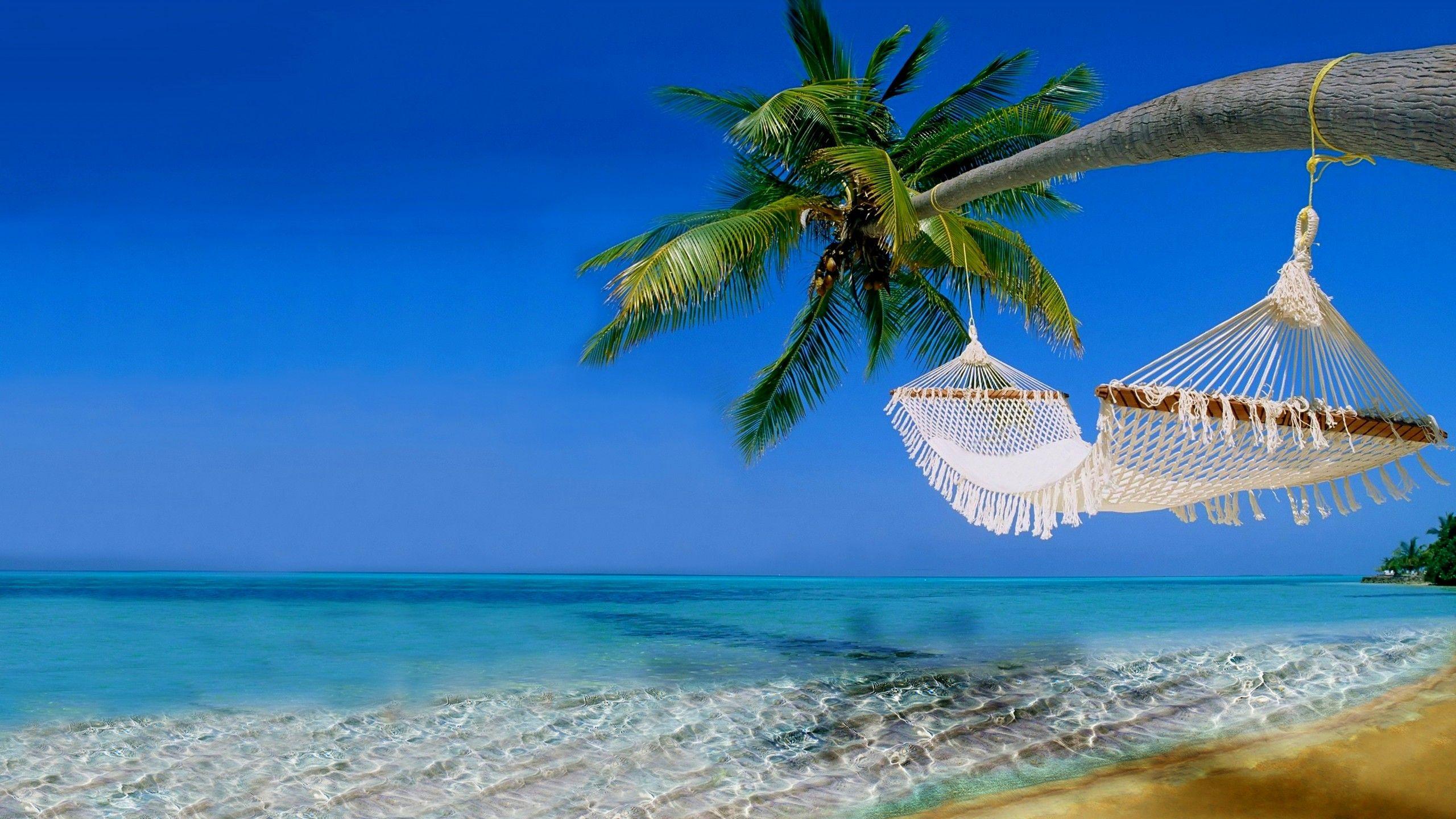 Tropical Beach Wallpapers Top Free Tropical Beach Backgrounds