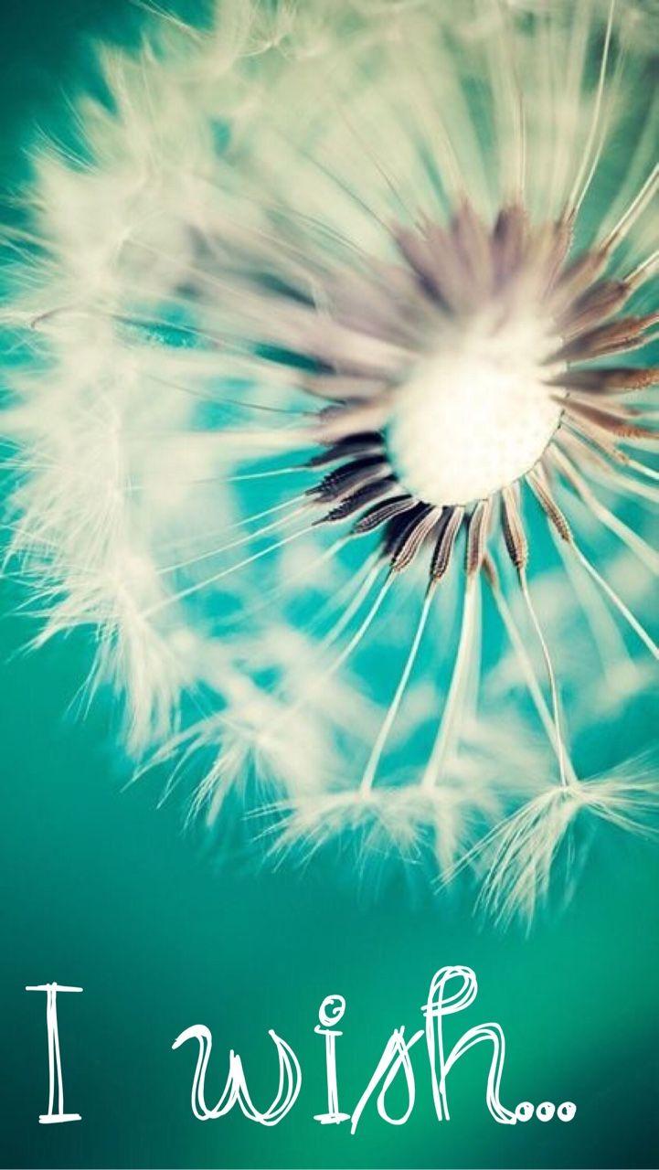 Quotes Glitter Wallpapers Top Free Quotes Glitter Backgrounds