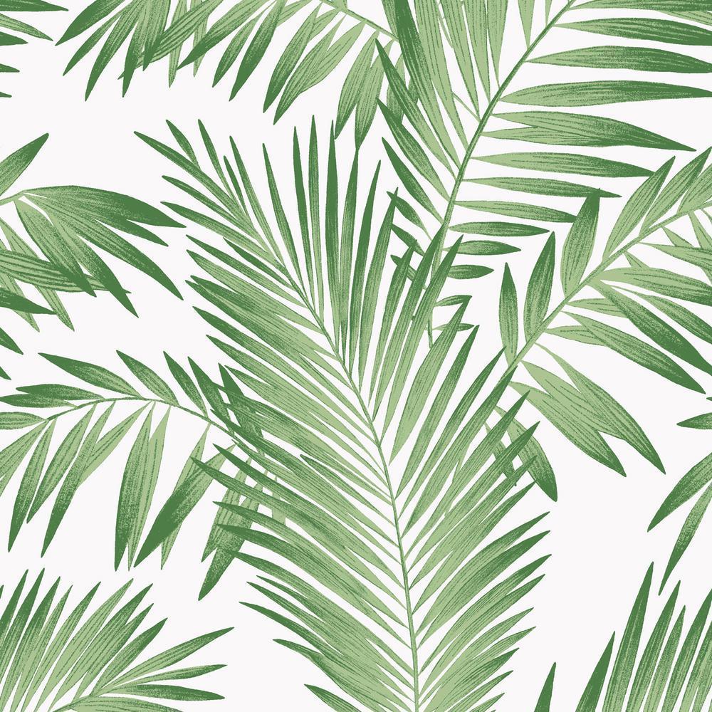Aesthetic Palm Leaves Wallpapers Top Free Aesthetic Palm Leaves
