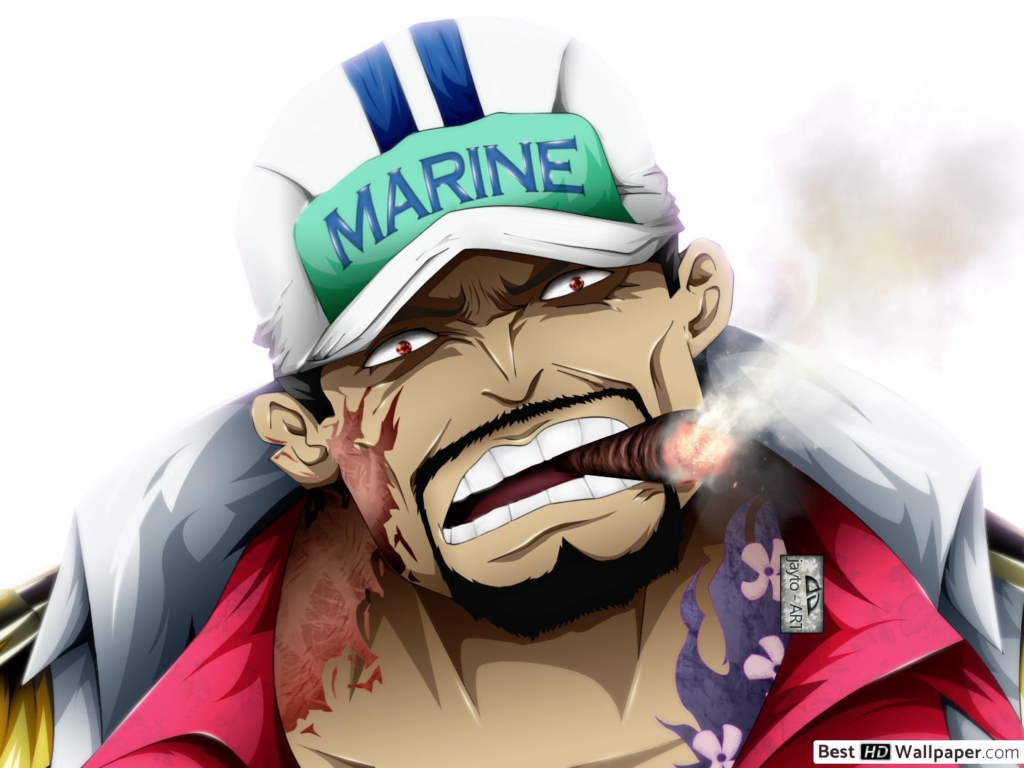 One Piece Akainu Wallpapers Top Free One Piece Akainu Backgrounds