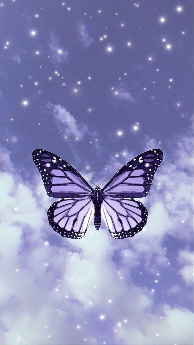 Dark Purple Butterfly Wallpapers Top Free Dark Purple Butterfly