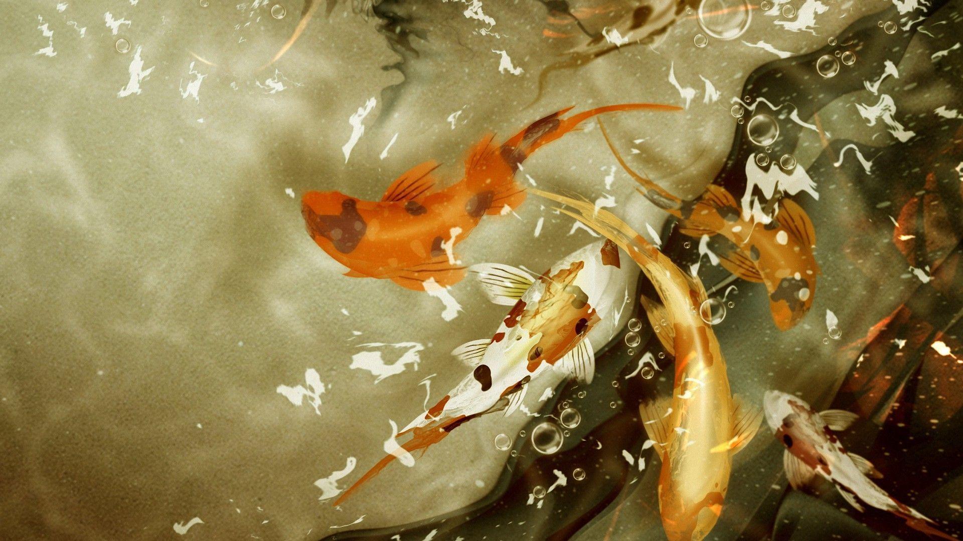 Gold Koi Wallpapers Top Free Gold Koi Backgrounds WallpaperAccess