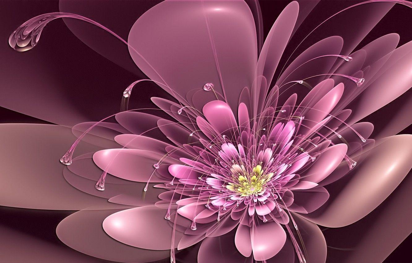 Neon Pink Flower Wallpapers Top Free Neon Pink Flower Backgrounds