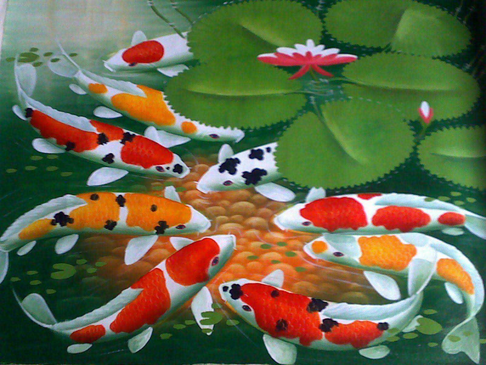 Gold Koi Wallpapers Top Free Gold Koi Backgrounds WallpaperAccess
