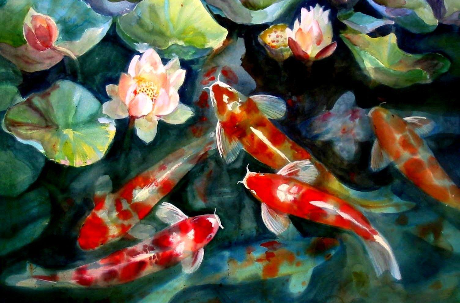Gold Koi Wallpapers Top Free Gold Koi Backgrounds WallpaperAccess