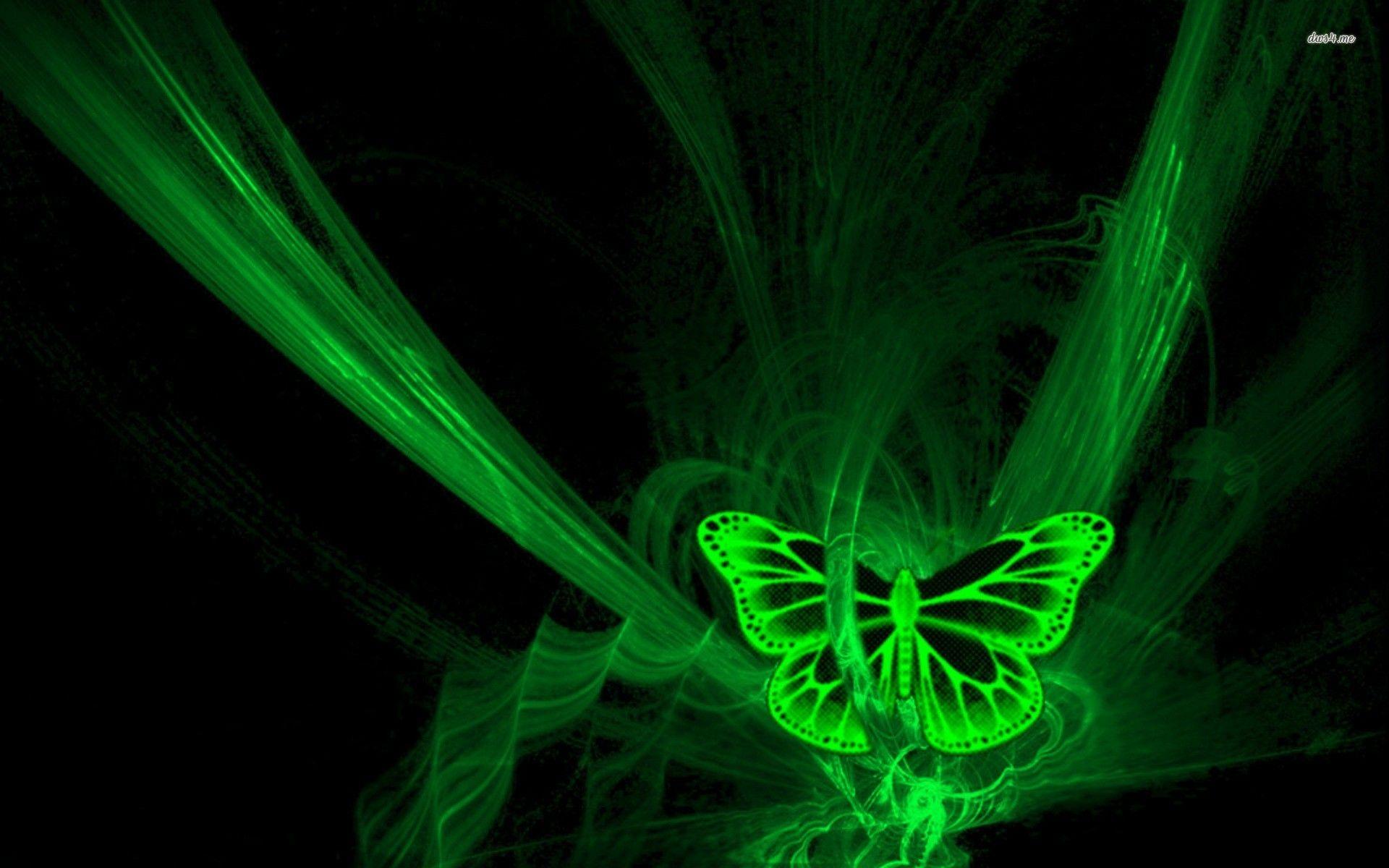 Green Butterfly Wallpapers Top Free Green Butterfly Backgrounds