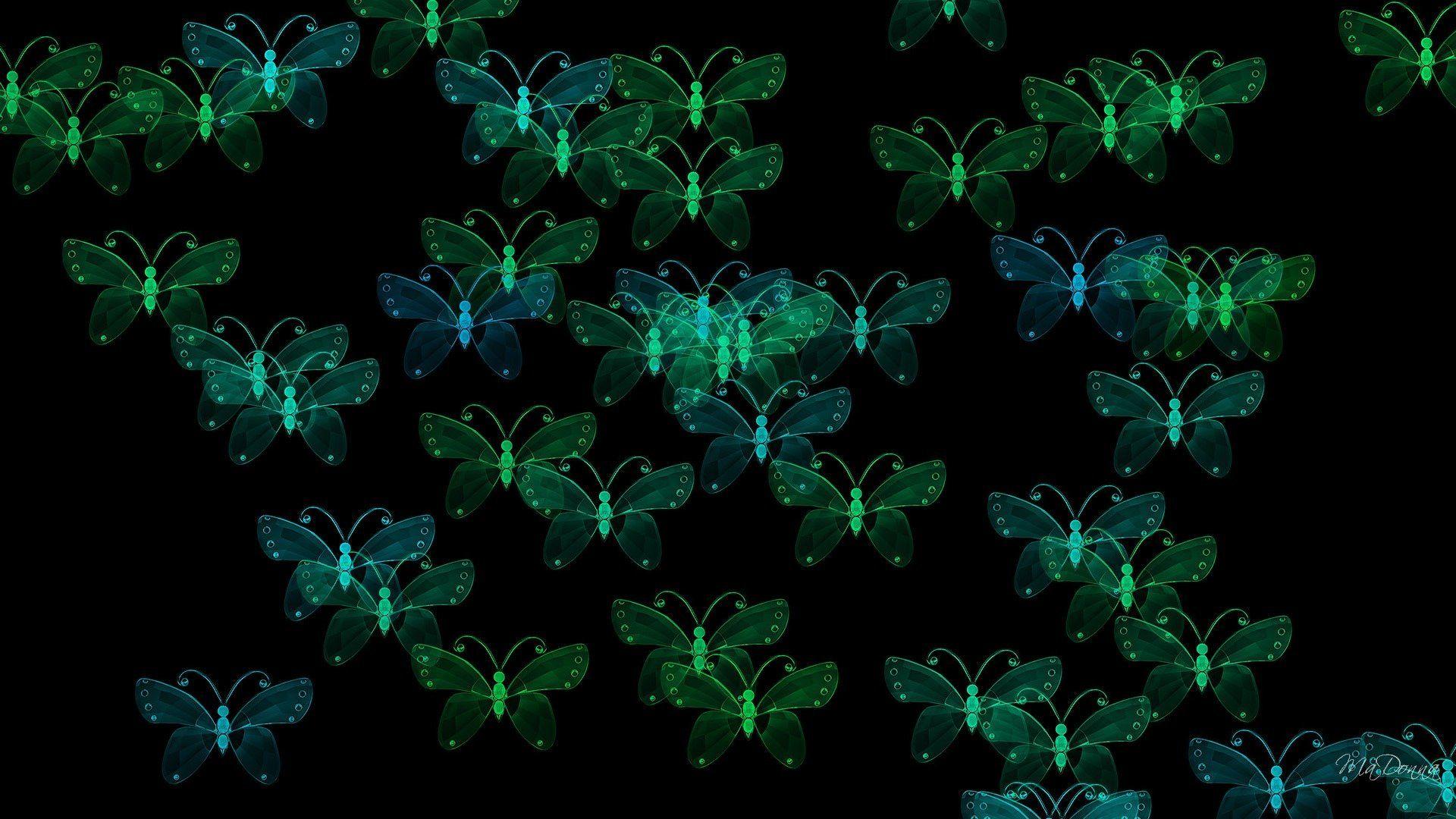 Green Butterfly Wallpapers Top Free Green Butterfly Backgrounds