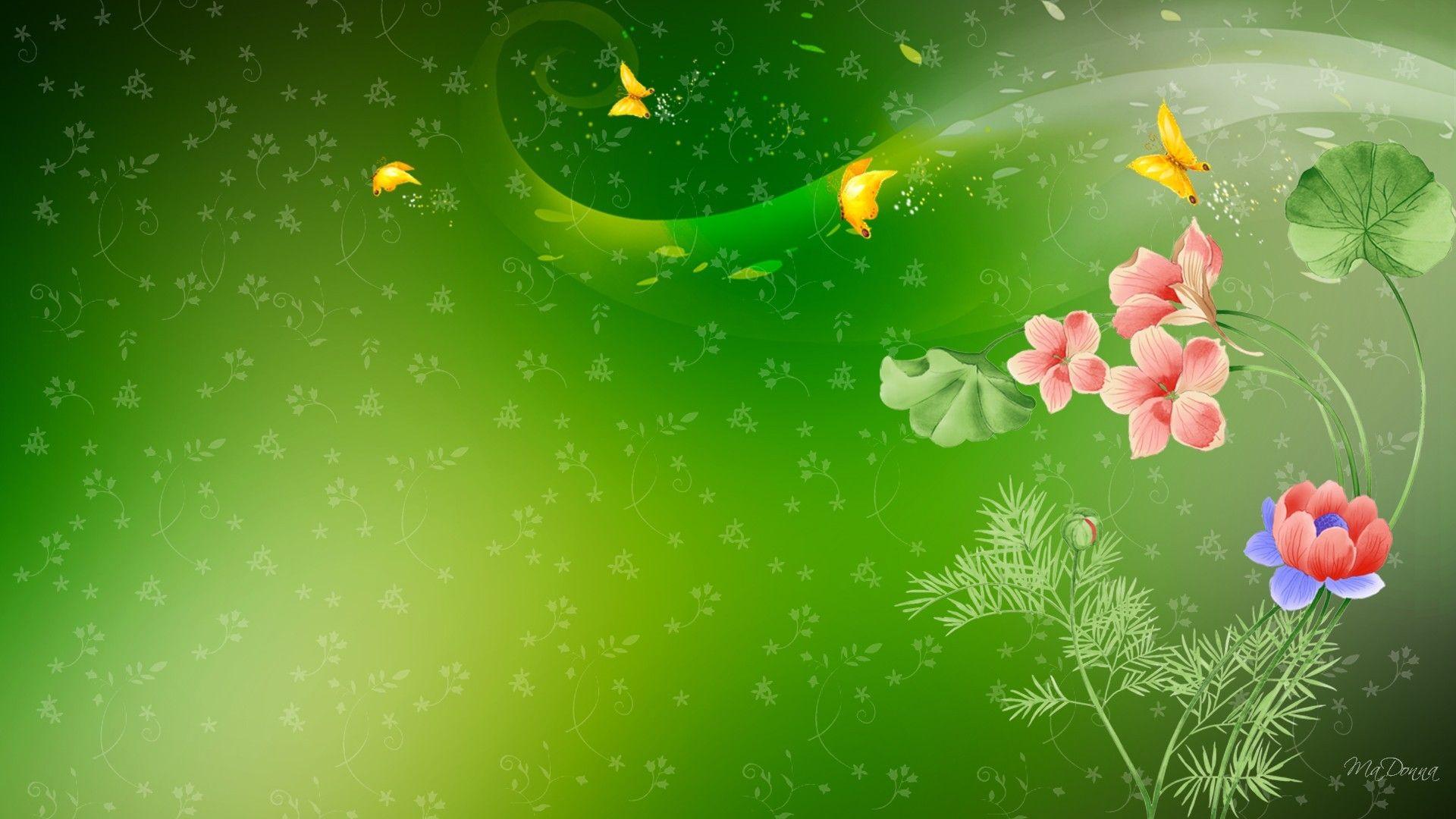 Green Butterfly Wallpapers Top Free Green Butterfly Backgrounds