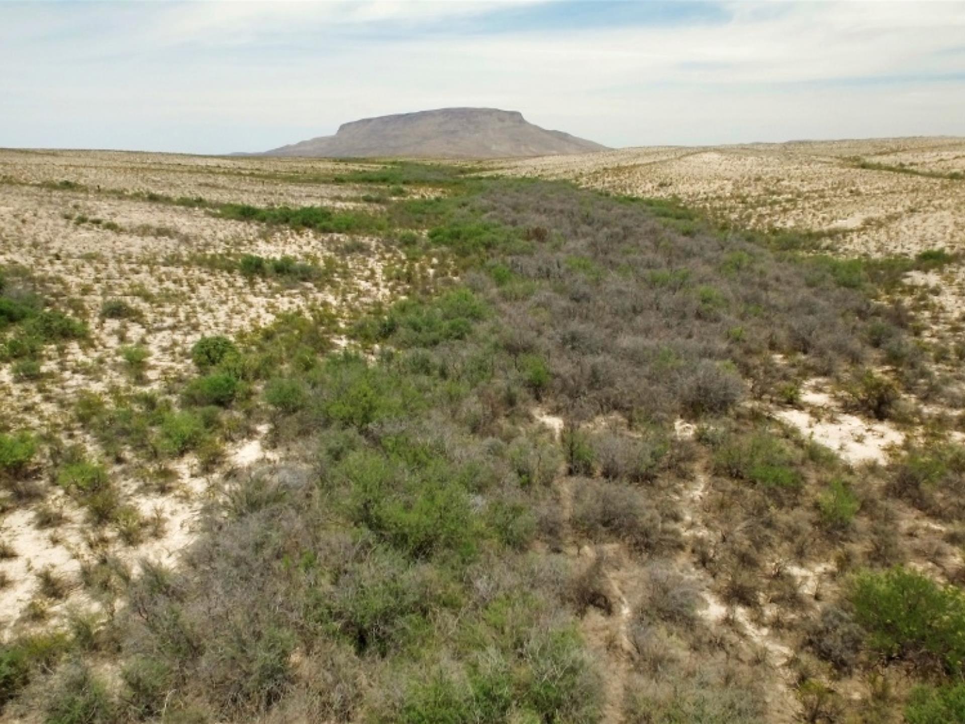 Texas Desert Wallpapers Top Free Texas Desert Backgrounds