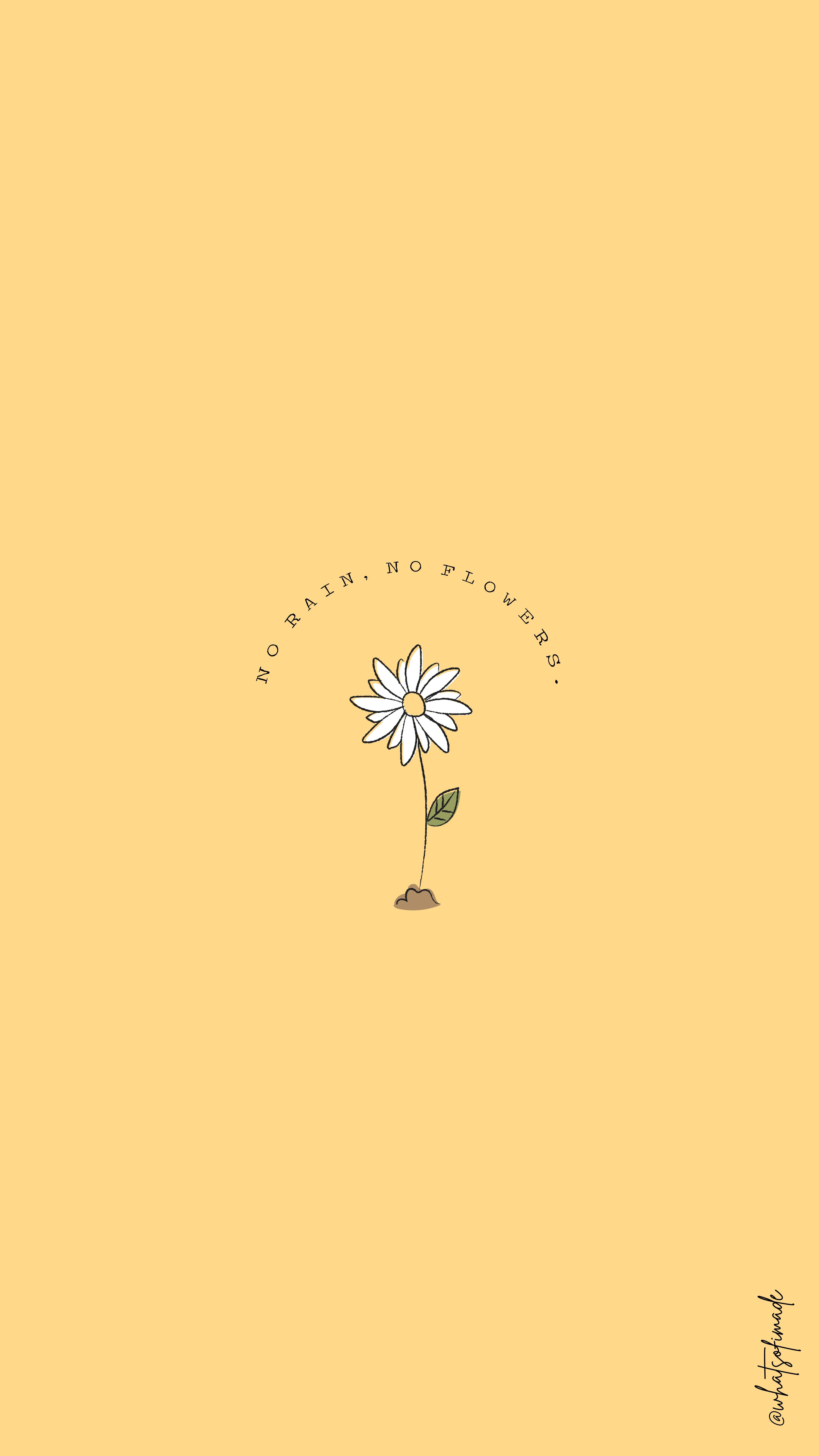 No Rain No Flowers Wallpapers Top Free No Rain No Flowers Backgrounds