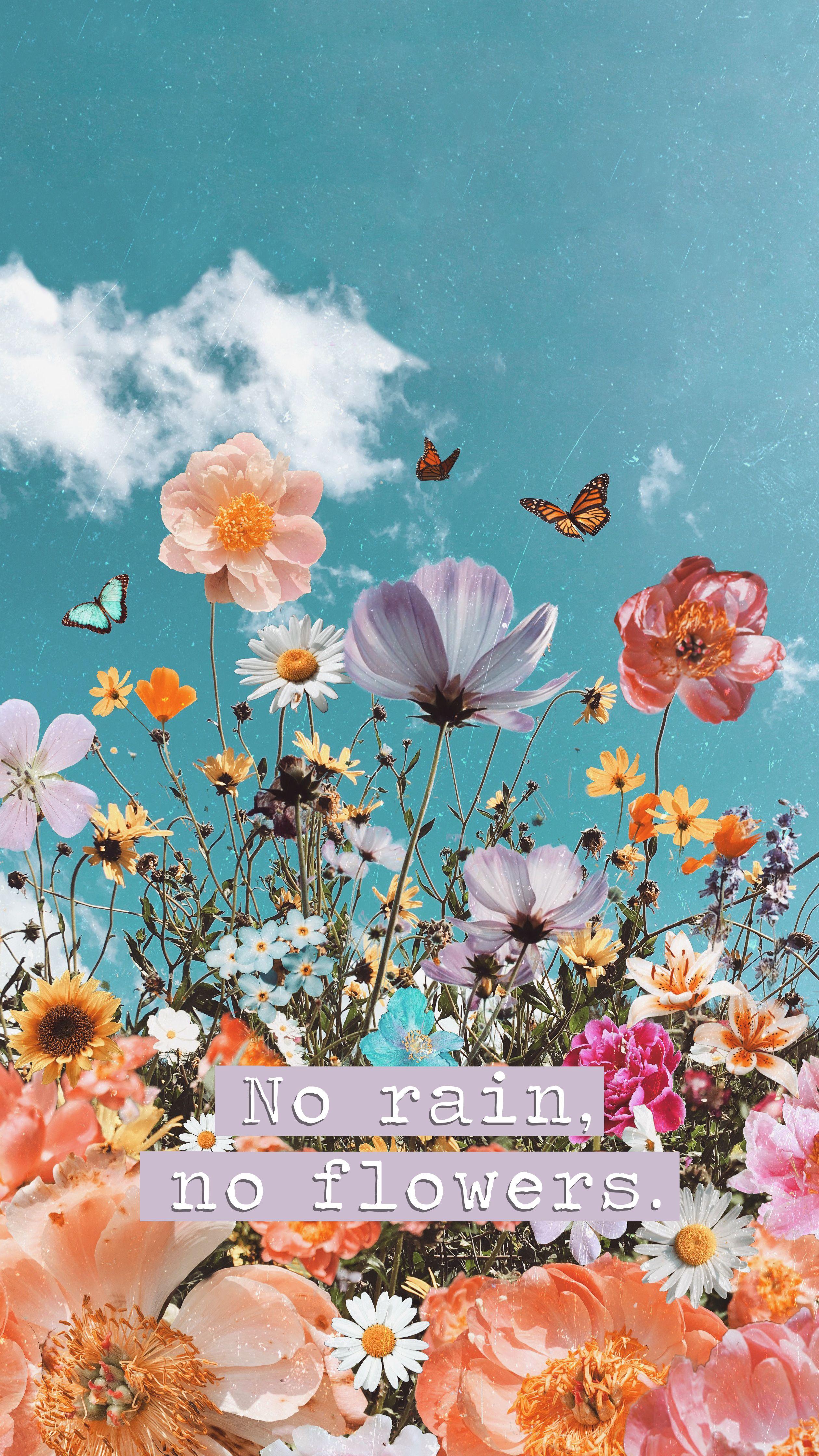 No Rain No Flowers Wallpapers Top Free No Rain No Flowers Backgrounds