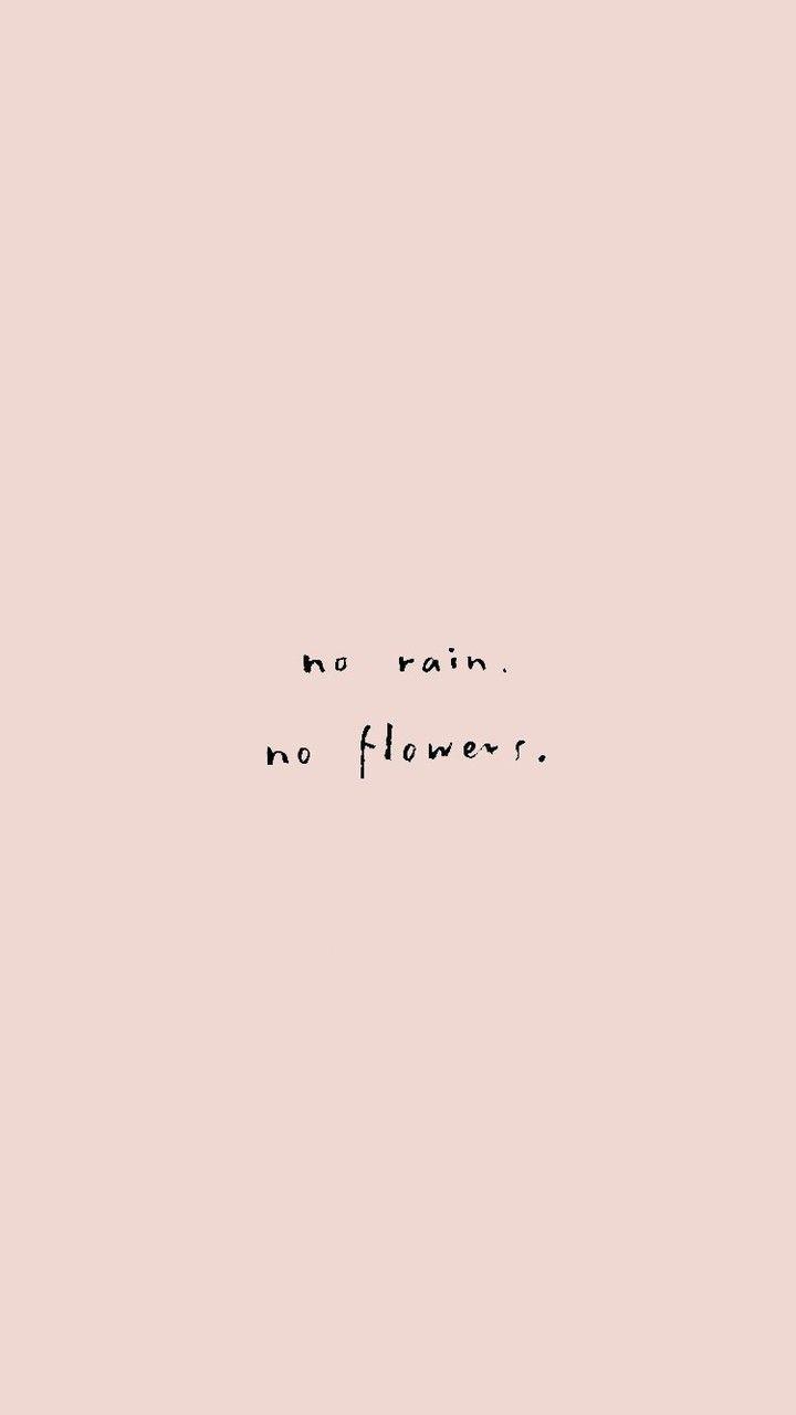No Rain No Flowers Wallpapers Top Free No Rain No Flowers Backgrounds
