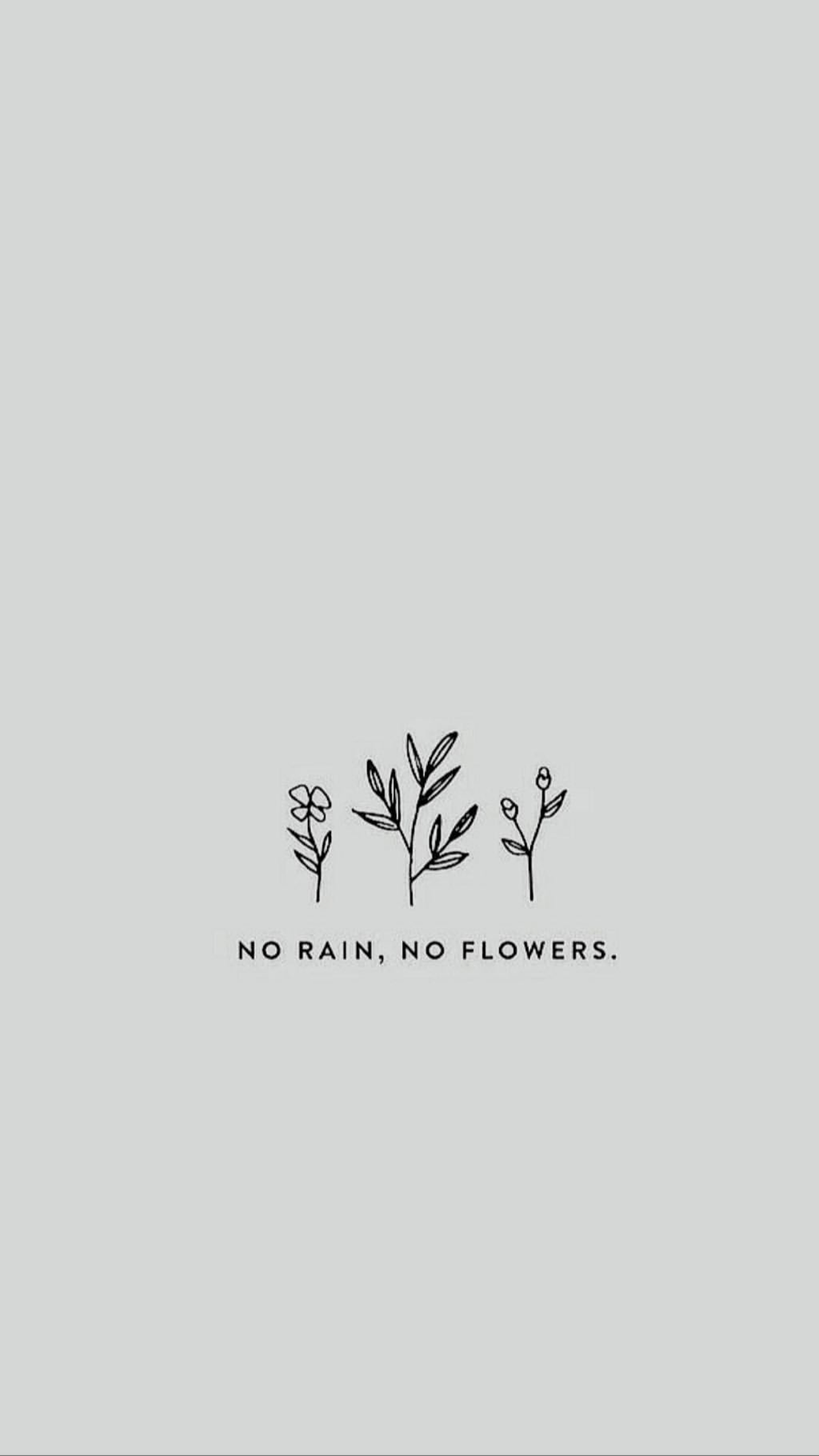 No Rain No Flowers Wallpapers Top Free No Rain No Flowers Backgrounds