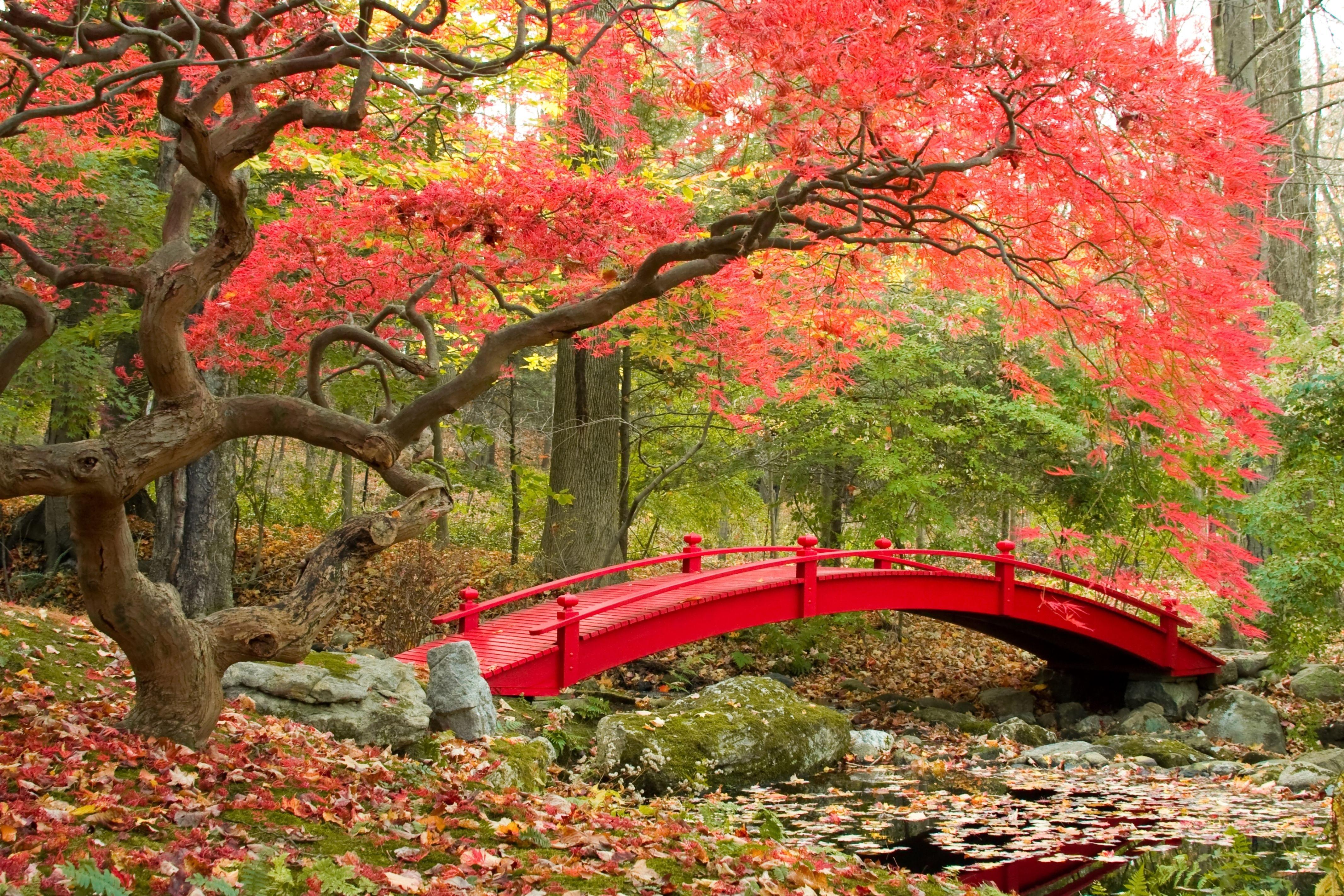 Japanese Autumn Desktop Wallpapers Top Free Japanese Autumn Desktop