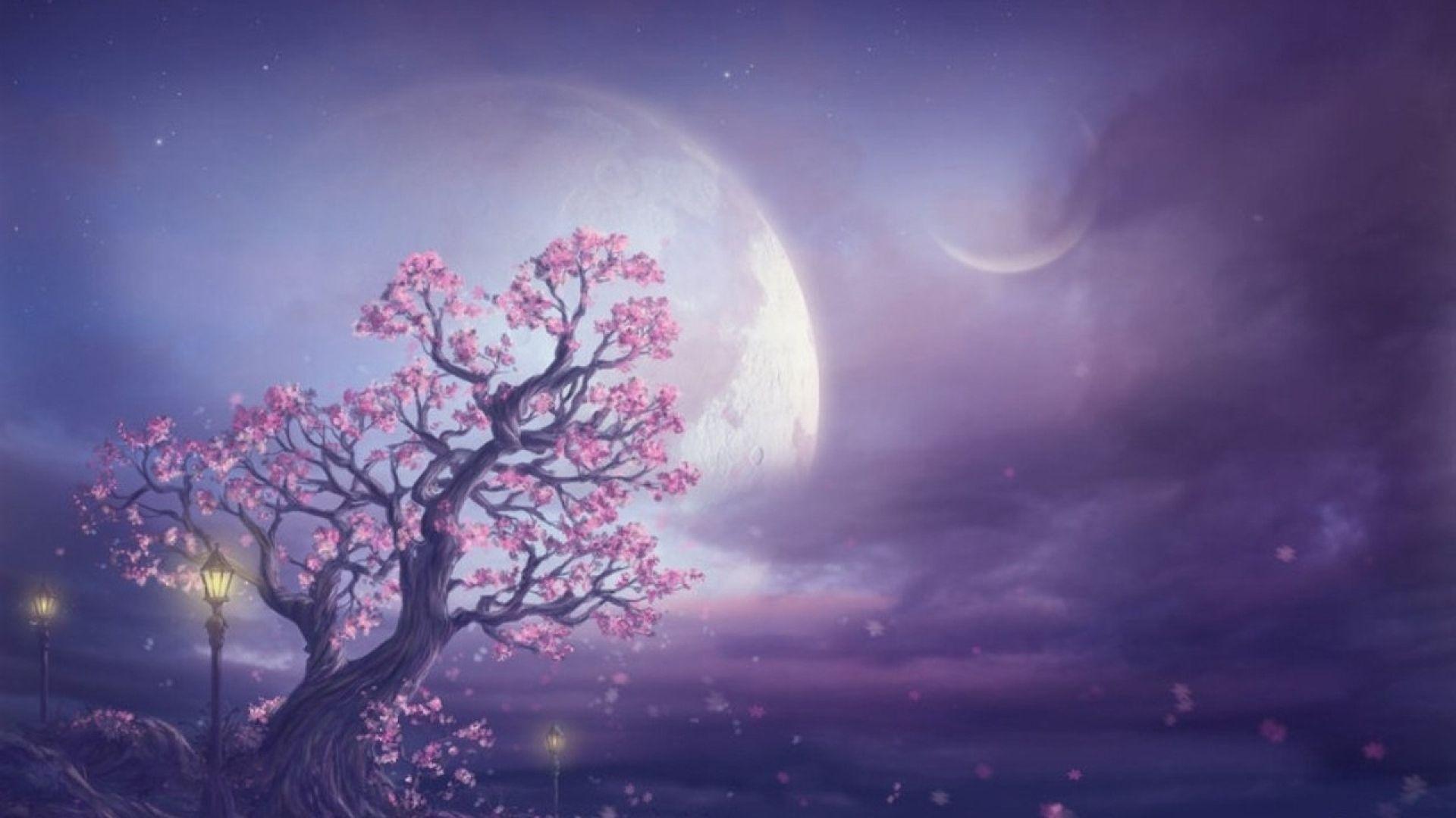 Pink and Purple Sky Wallpapers Top Free Pink and Purple Sky