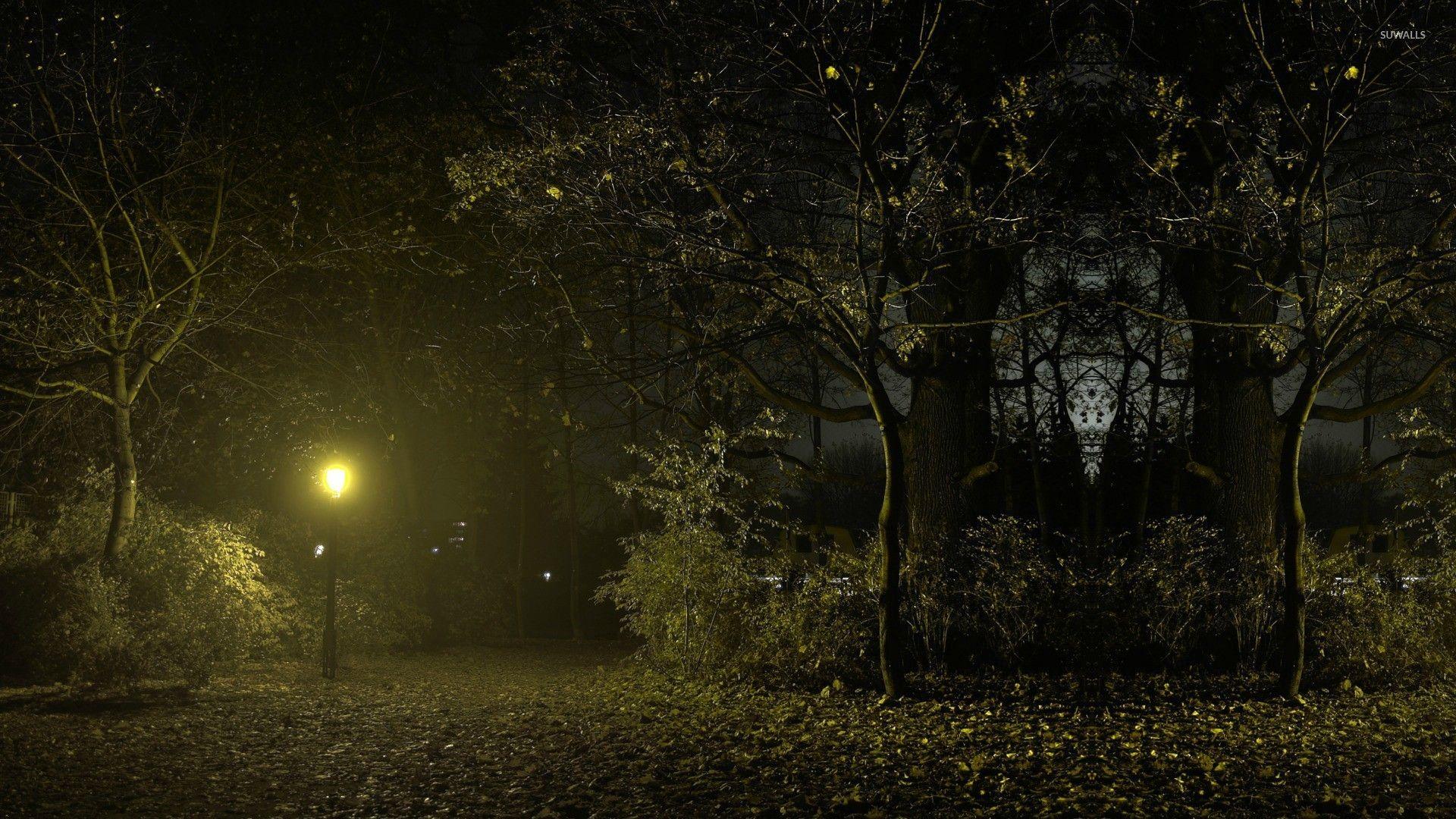 Night Park Wallpapers Top Free Night Park Backgrounds WallpaperAccess