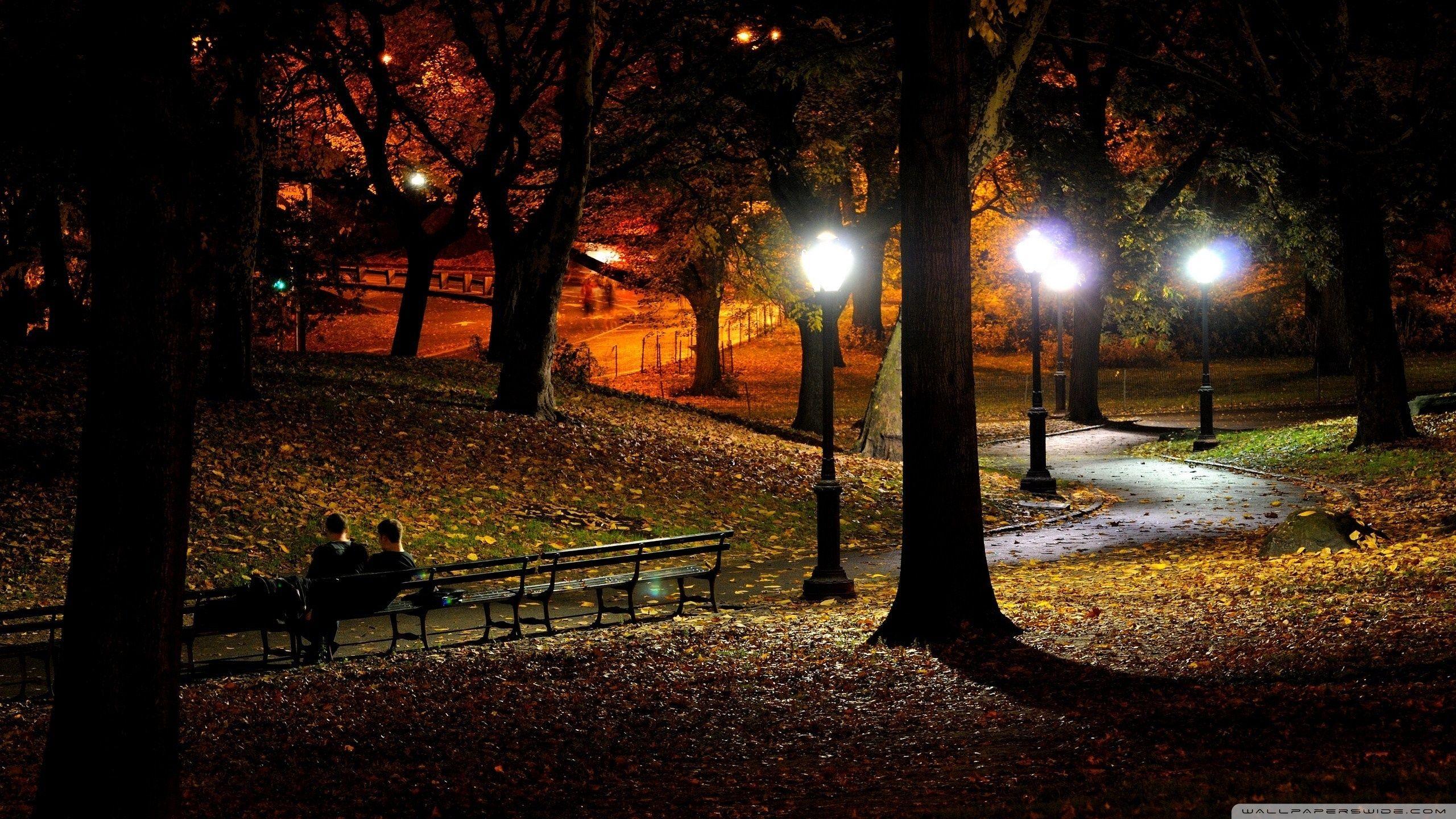 Night Park Wallpapers Top Free Night Park Backgrounds WallpaperAccess