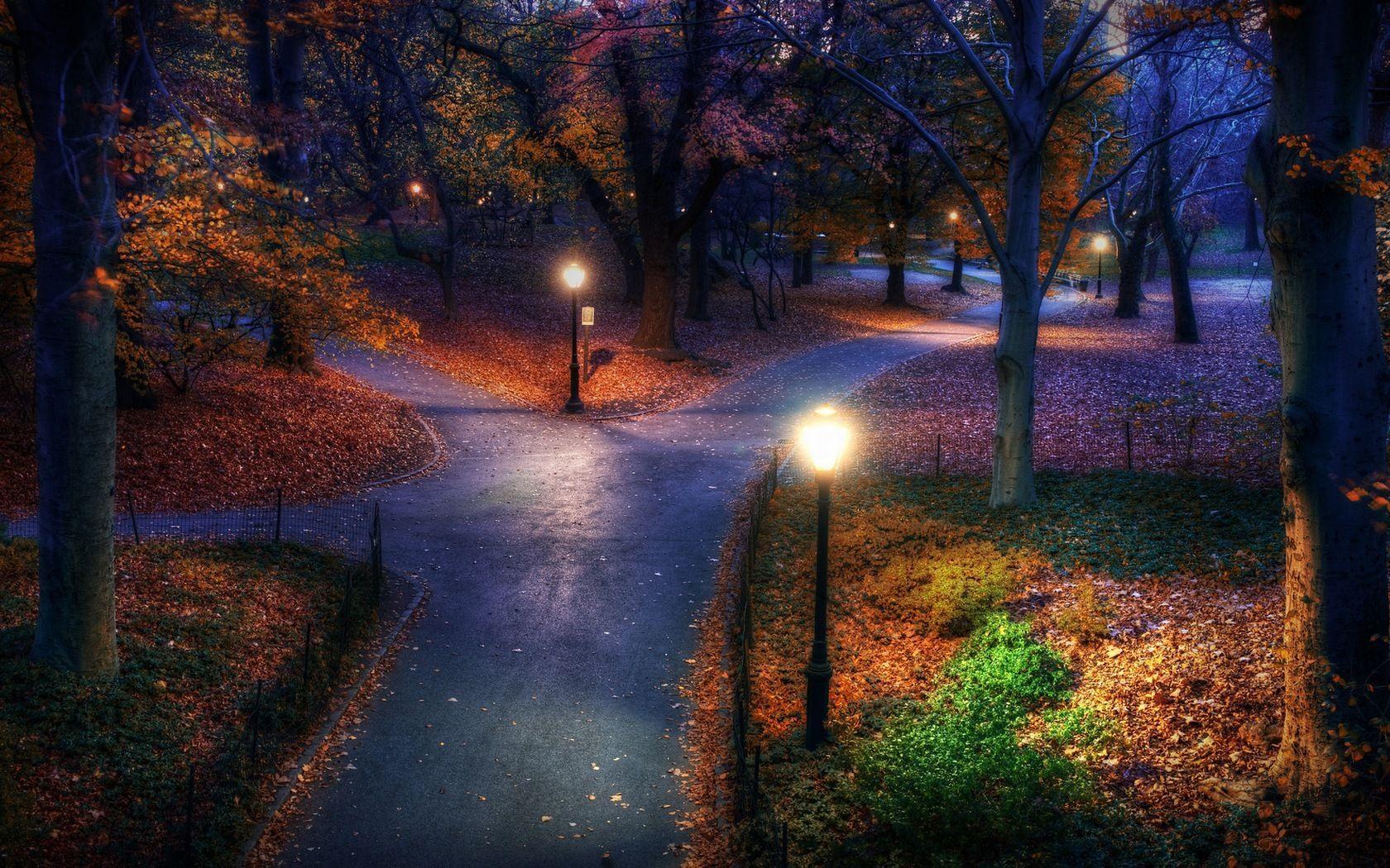 Night Park Wallpapers Top Free Night Park Backgrounds WallpaperAccess