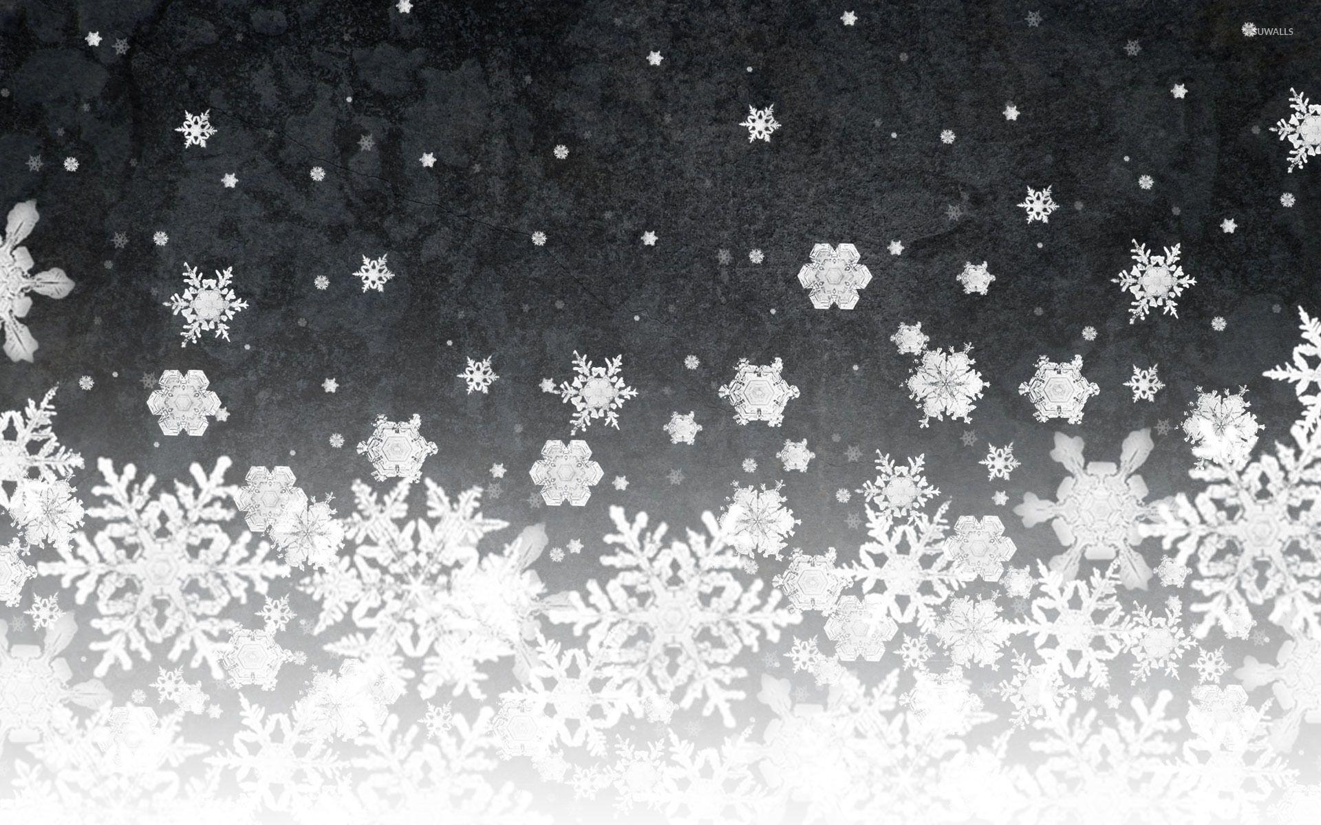 Black Snowflake Wallpapers Top Free Black Snowflake Backgrounds