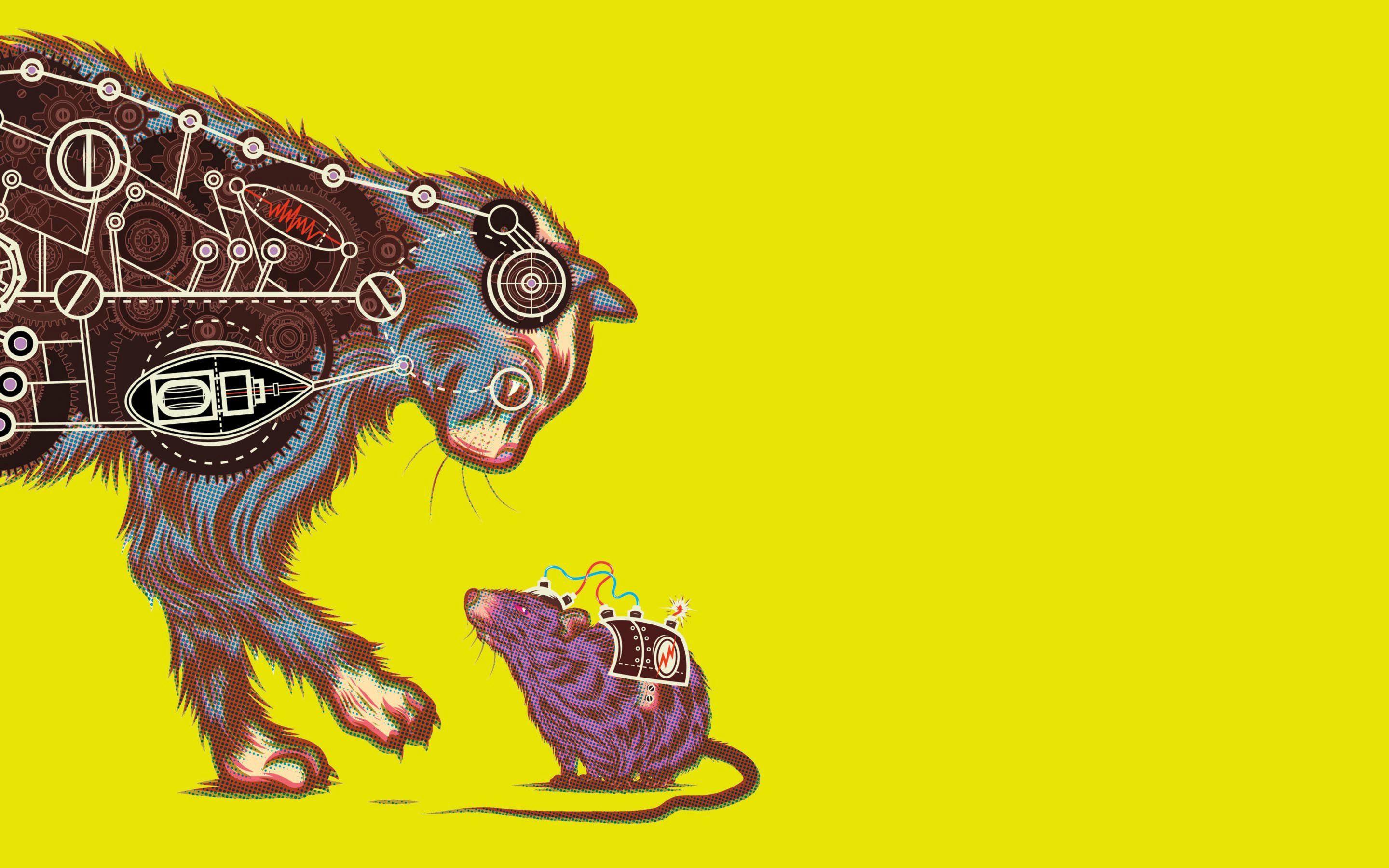 Abstract Cartoon Wallpapers Top Free Abstract Cartoon Backgrounds