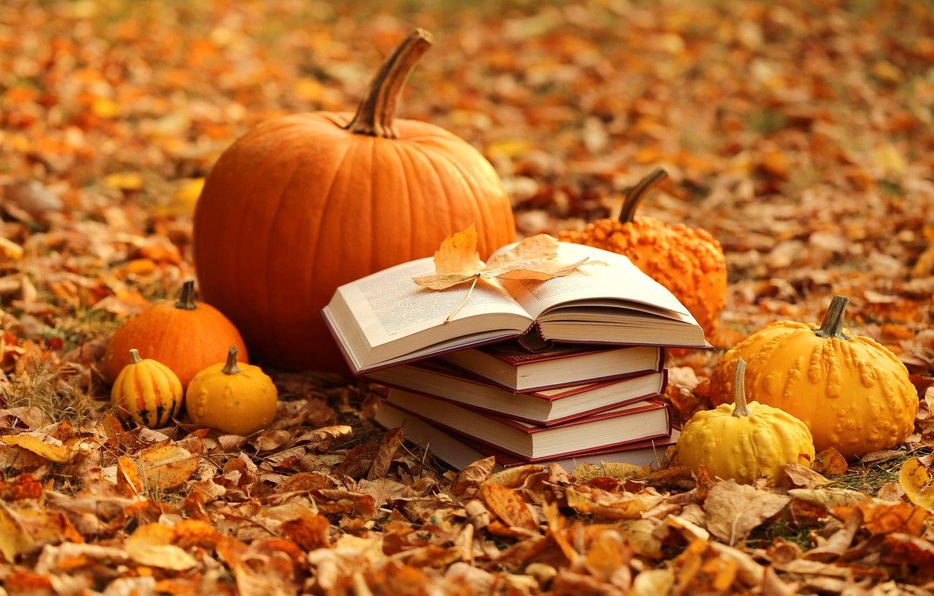 Autumn Harvest Wallpaper Widescreen