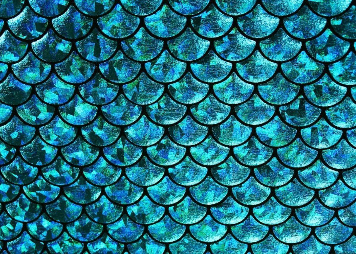 Mermaid Scales Wallpapers Top Free Mermaid Scales Backgrounds