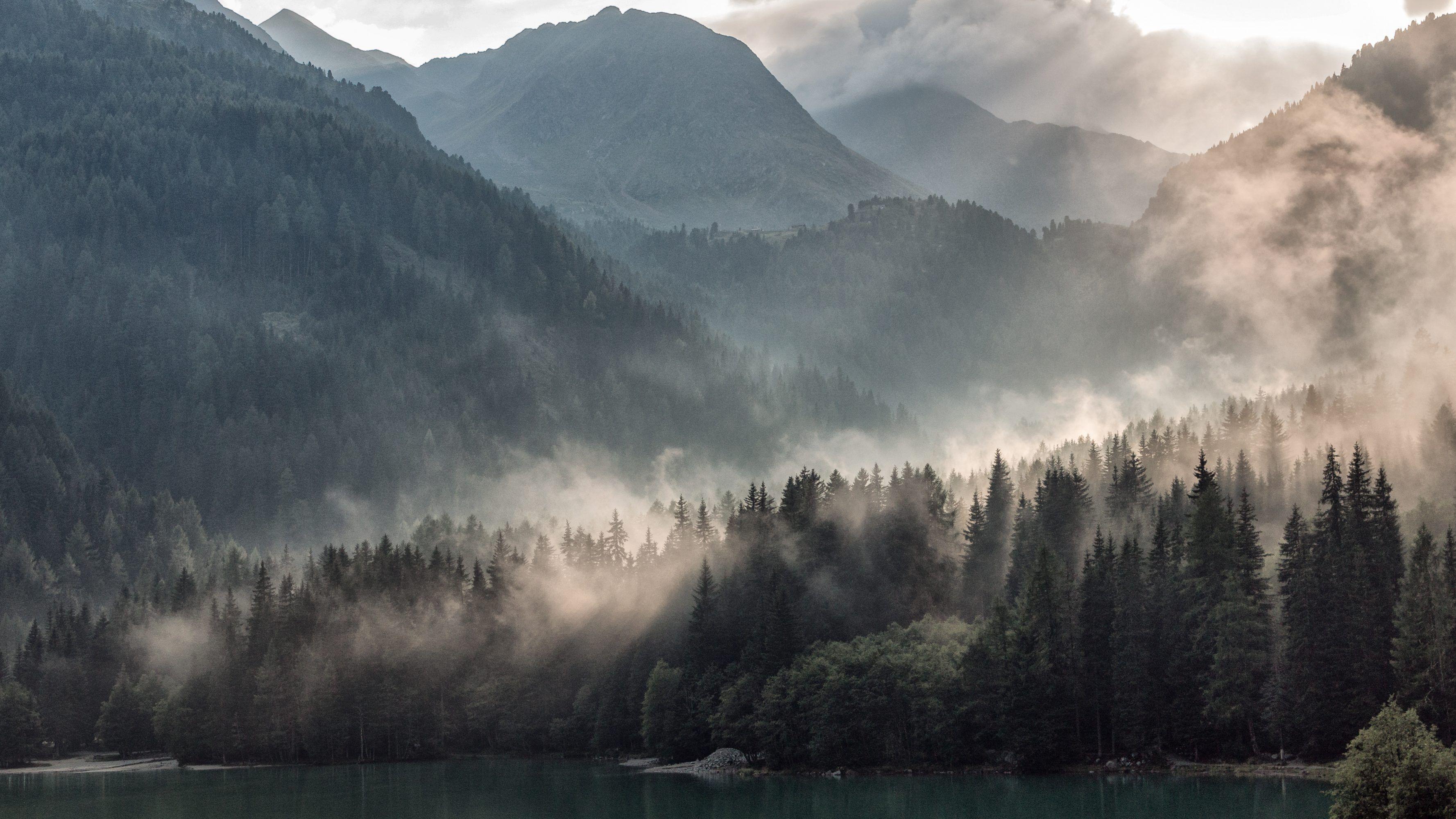 4K Ultra High Resolution Forest Wallpapers Top Free 4K Ultra High