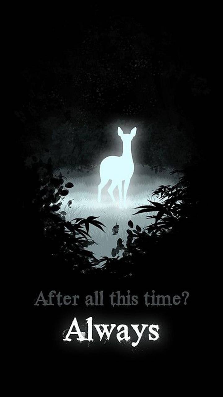 Always Harry Potter Wallpapers Top Free Always Harry Potter