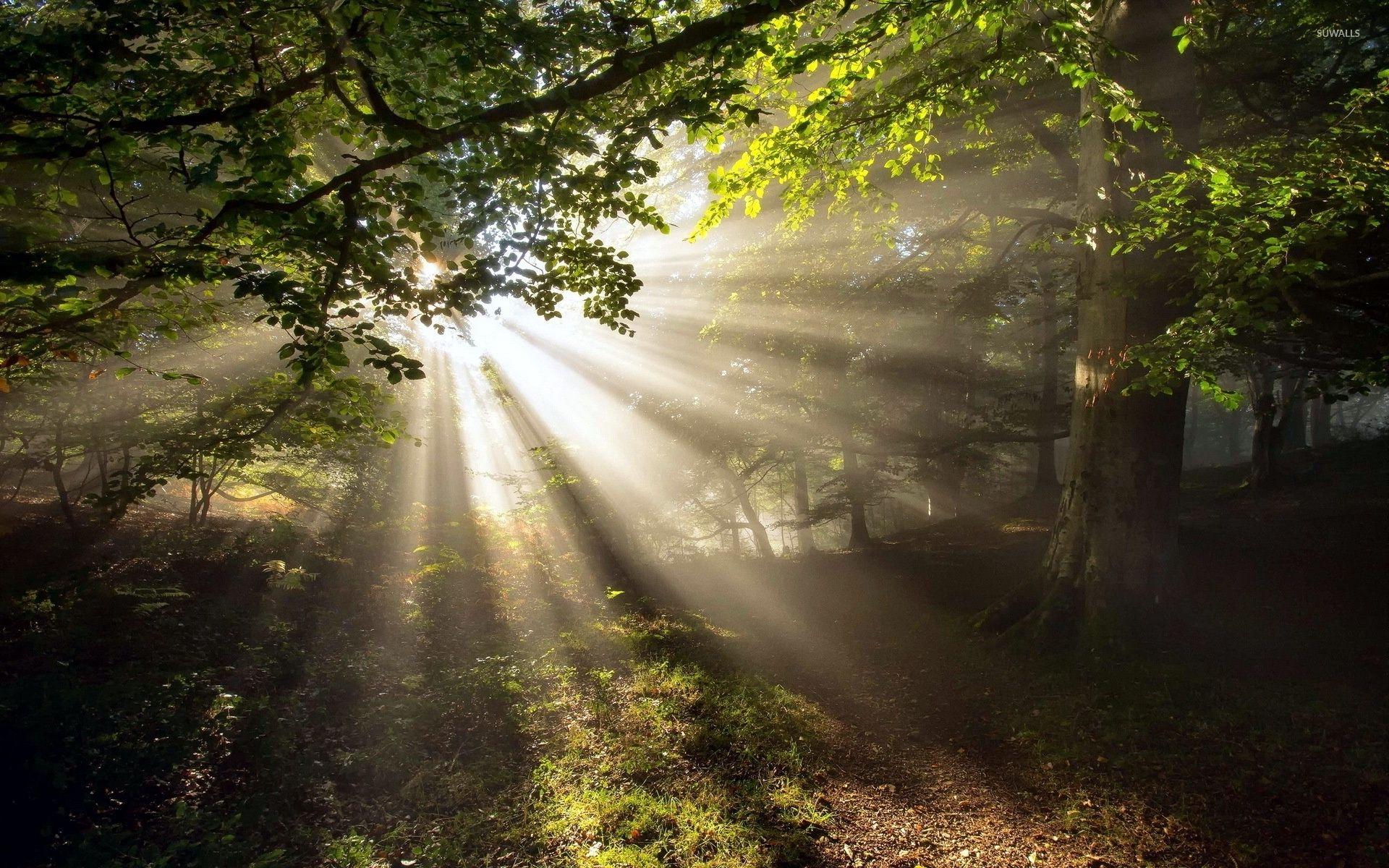 Dark Sun Wallpapers Top Free Dark Sun Backgrounds WallpaperAccess