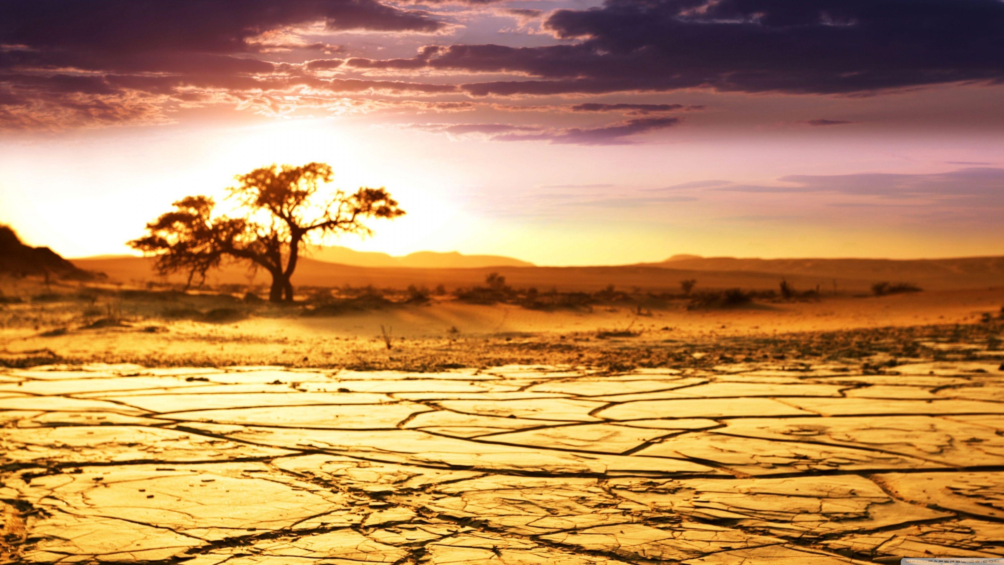 Africa 4K Wallpapers Top Free Africa 4K Backgrounds WallpaperAccess