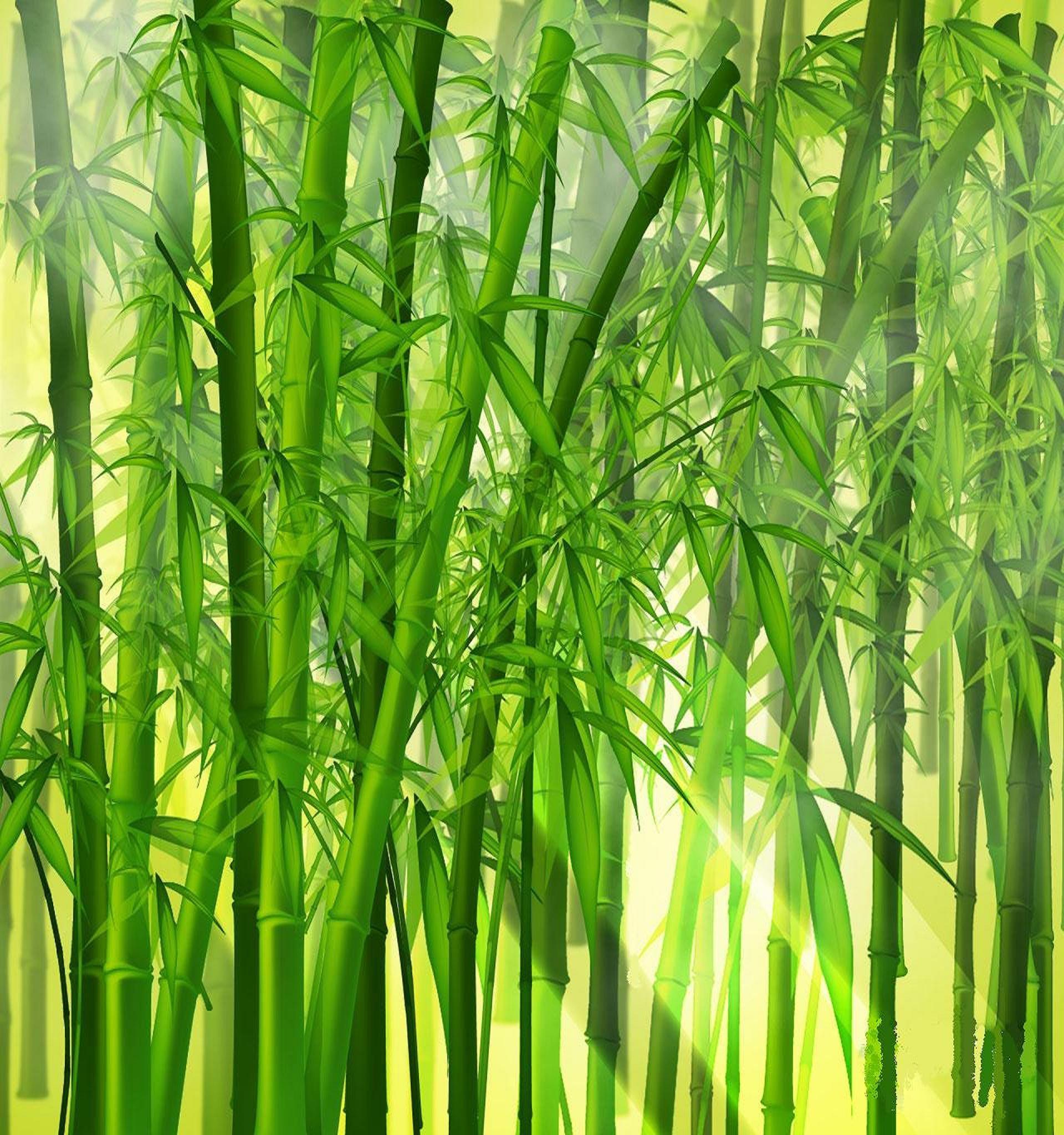 Japanese Bamboo Art Wallpapers Top Free Japanese Bamboo Art