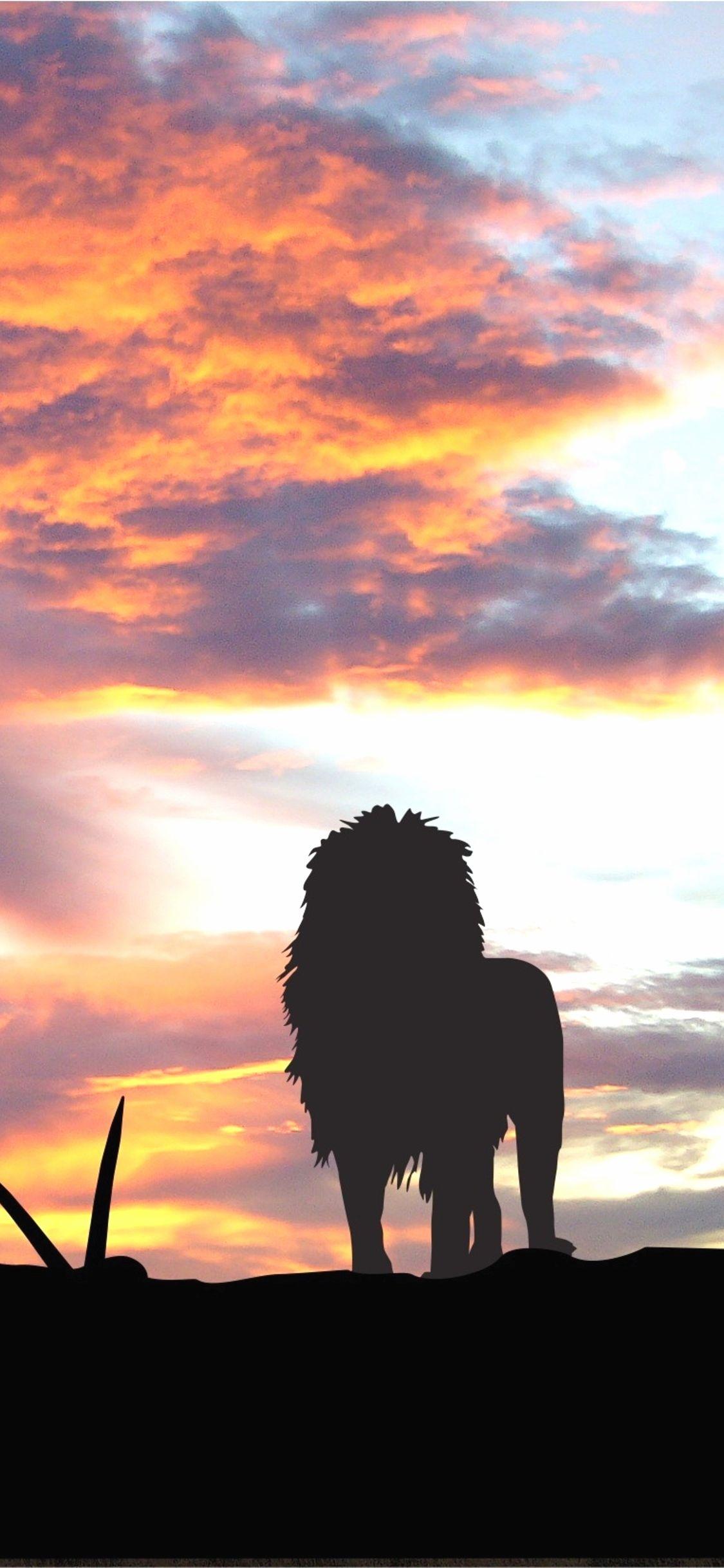 Africa 4K Wallpapers Top Free Africa 4K Backgrounds