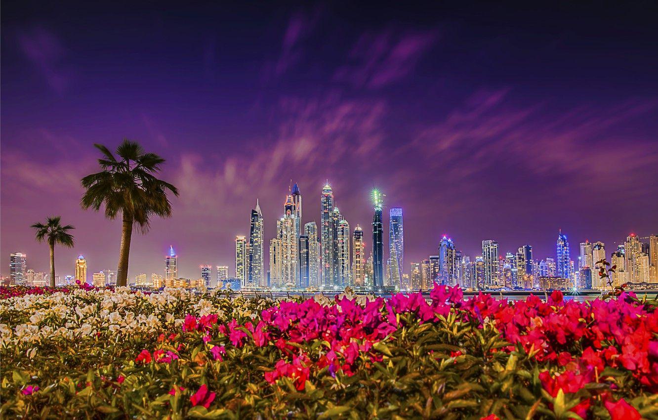 Dubai Sunset Wallpapers Top Free Dubai Sunset Backgrounds
