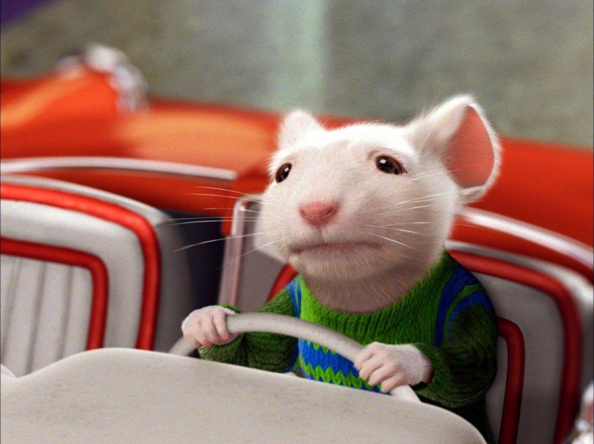 Stuart Little Wallpapers Top Free Stuart Little Backgrounds