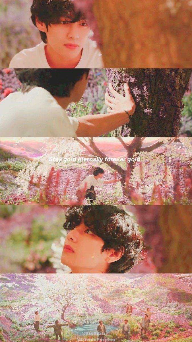 BTS Stay Gold Wallpapers Top Free BTS Stay Gold Backgrounds