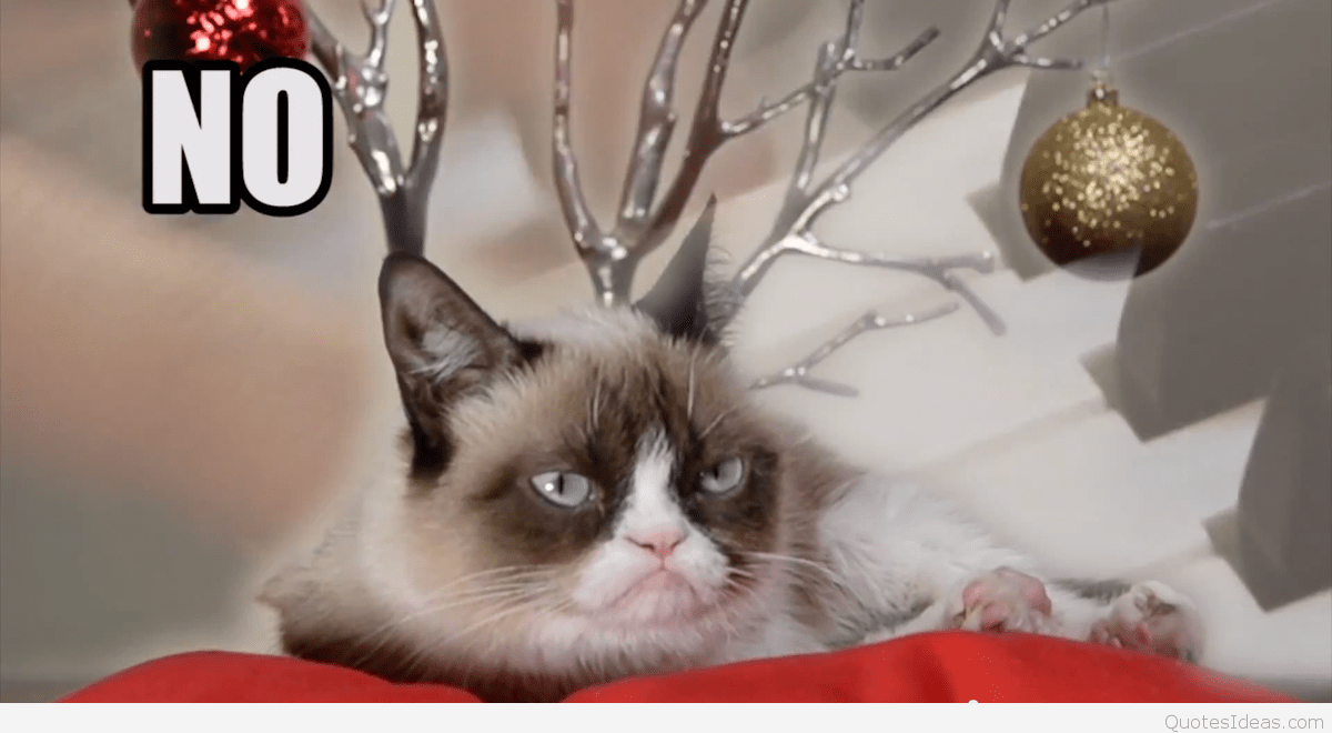 Grumpy Cat Christmas Wallpaper Grumpy Cat Christmas Wallpapers Top Free Grumpy Cat Christmas