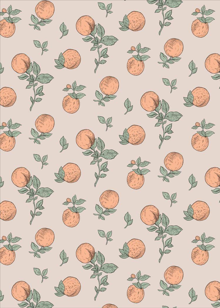 Apricot Wallpapers Top Free Apricot Backgrounds WallpaperAccess