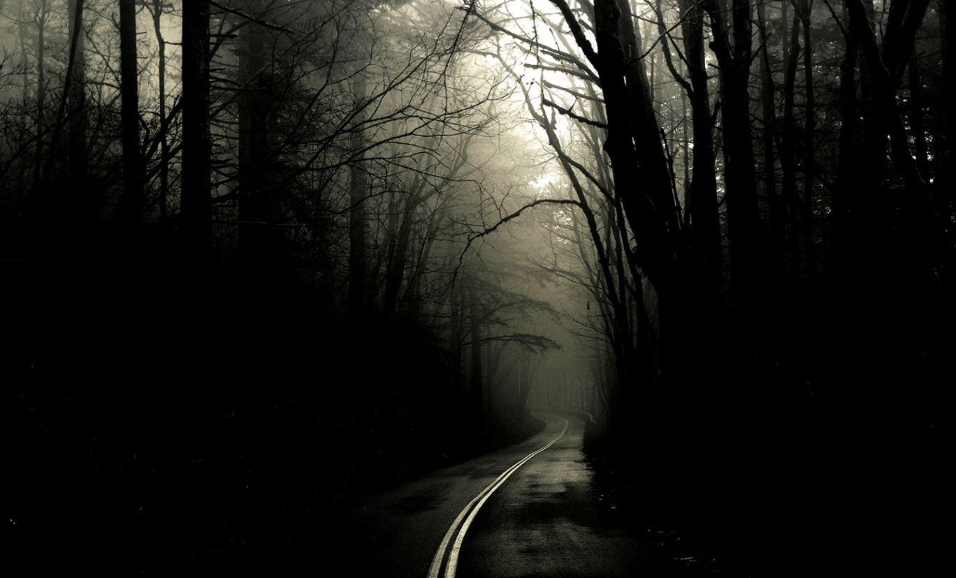 Dark Nature Wallpapers Top Free Dark Nature Backgrounds WallpaperAccess