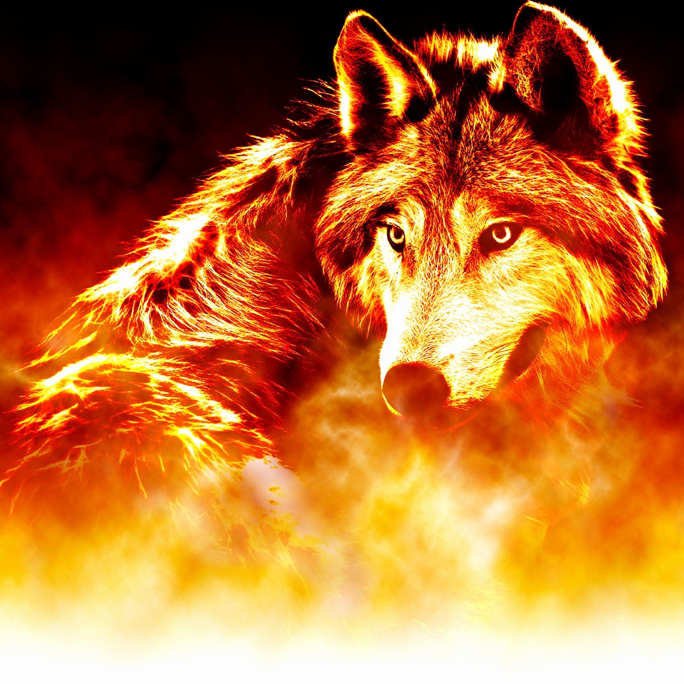 Fire Animal Wallpapers Top Free Fire Animal Backgrounds WallpaperAccess