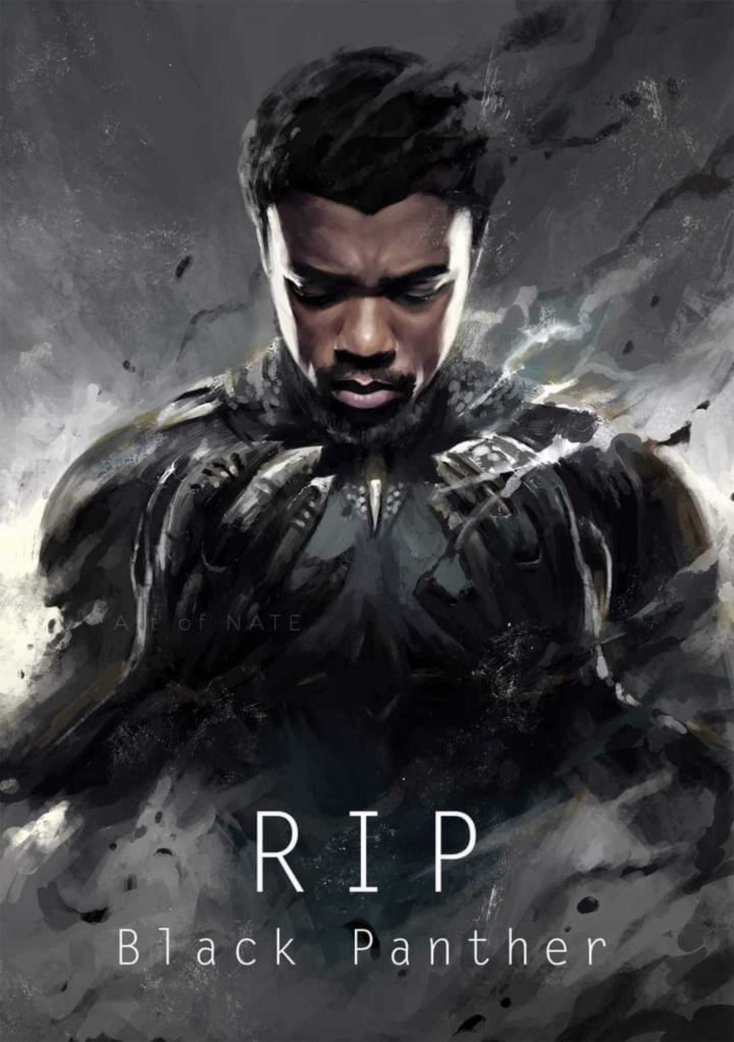 Rip Black Panther Wallpapers Top Free Rip Black Panther Backgrounds