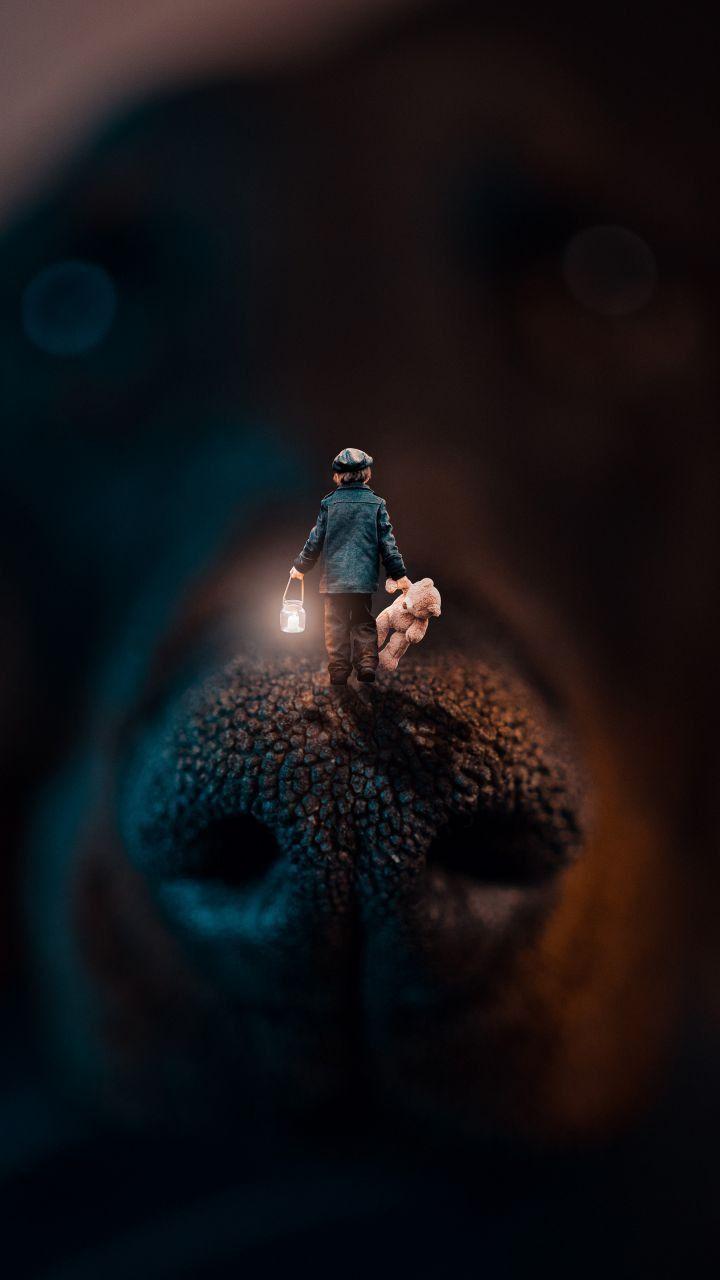 Double Exposure Wallpapers Top Free Double Exposure Backgrounds