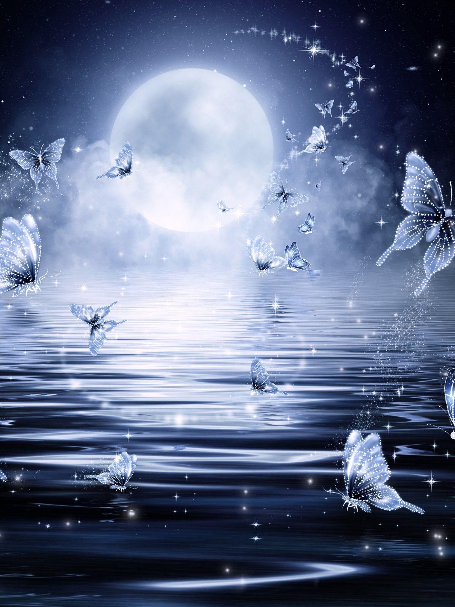 Night Butterfly Wallpapers Top Free Night Butterfly Backgrounds