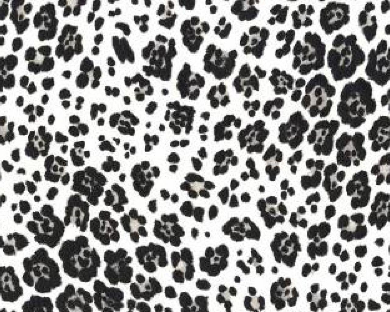 Black and White Print Wallpapers Top Free Black and White Print